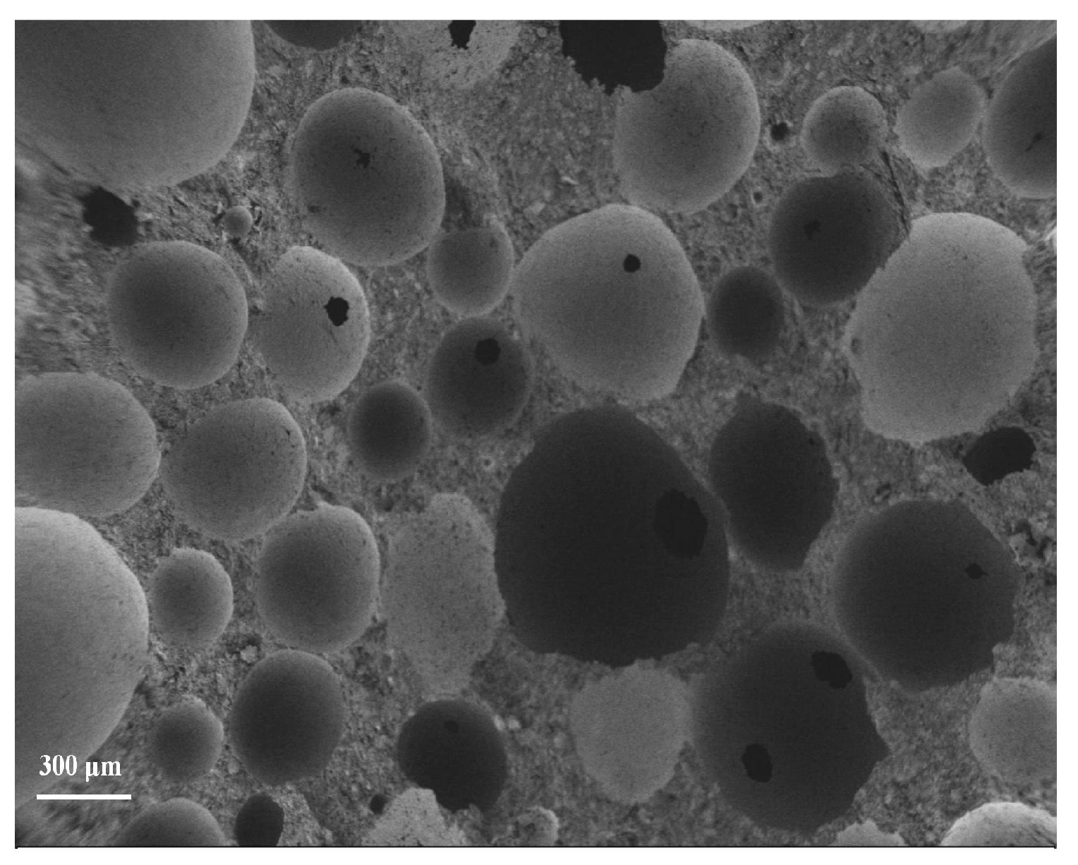 Coatings 15 00976 g009