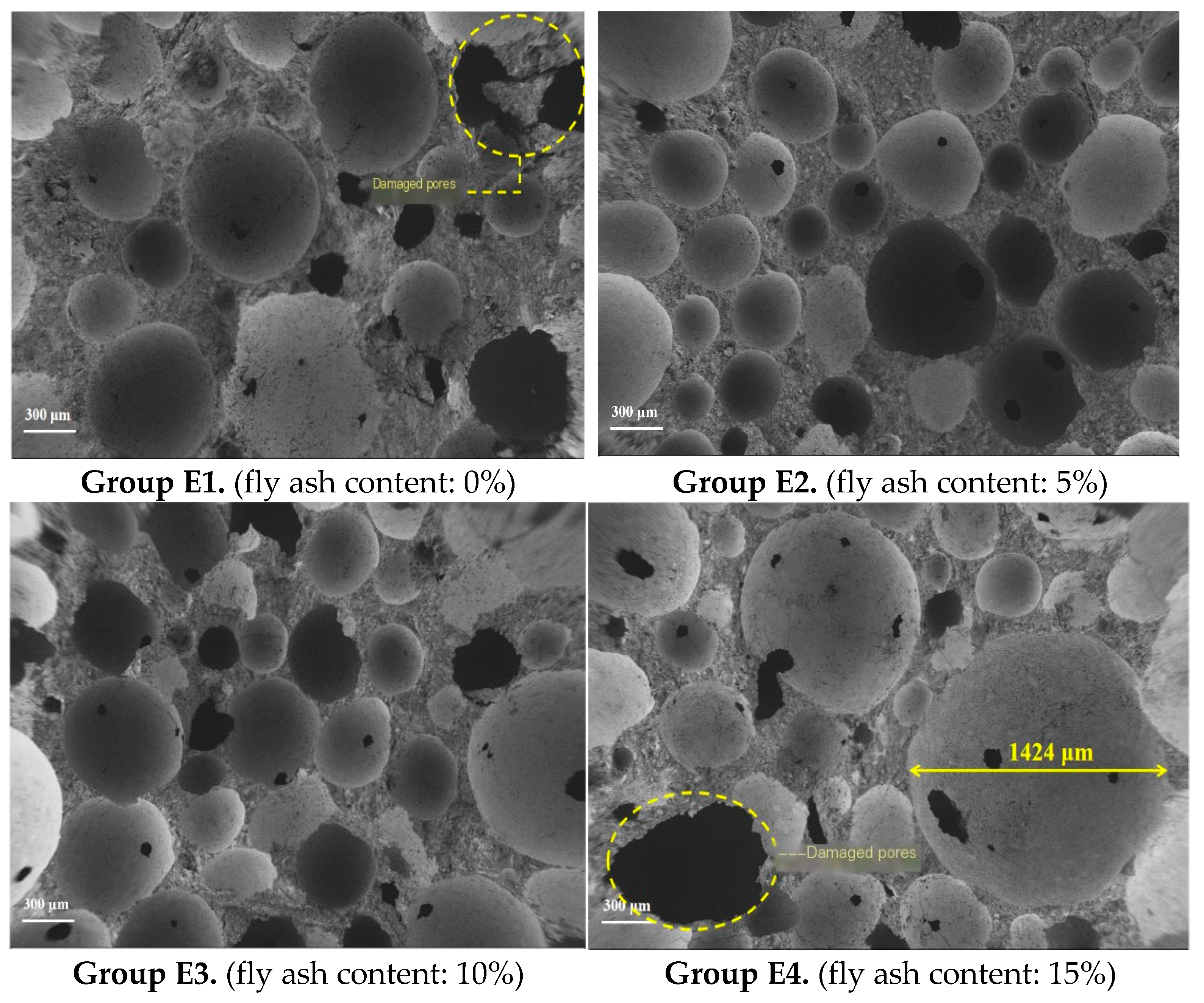 Coatings 15 00976 g010