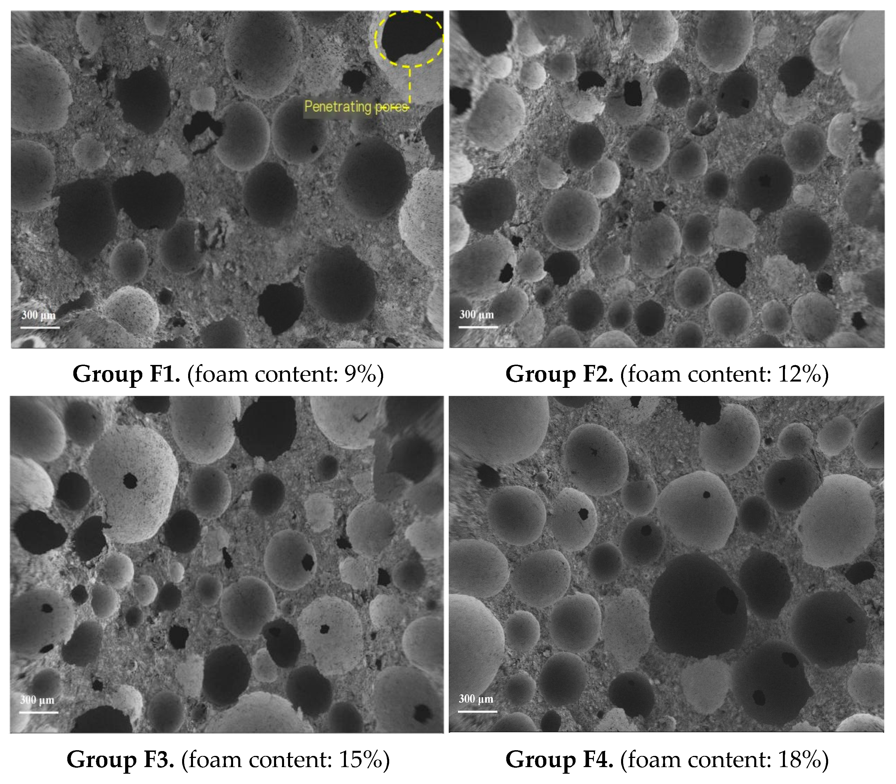 Coatings 15 00976 g011