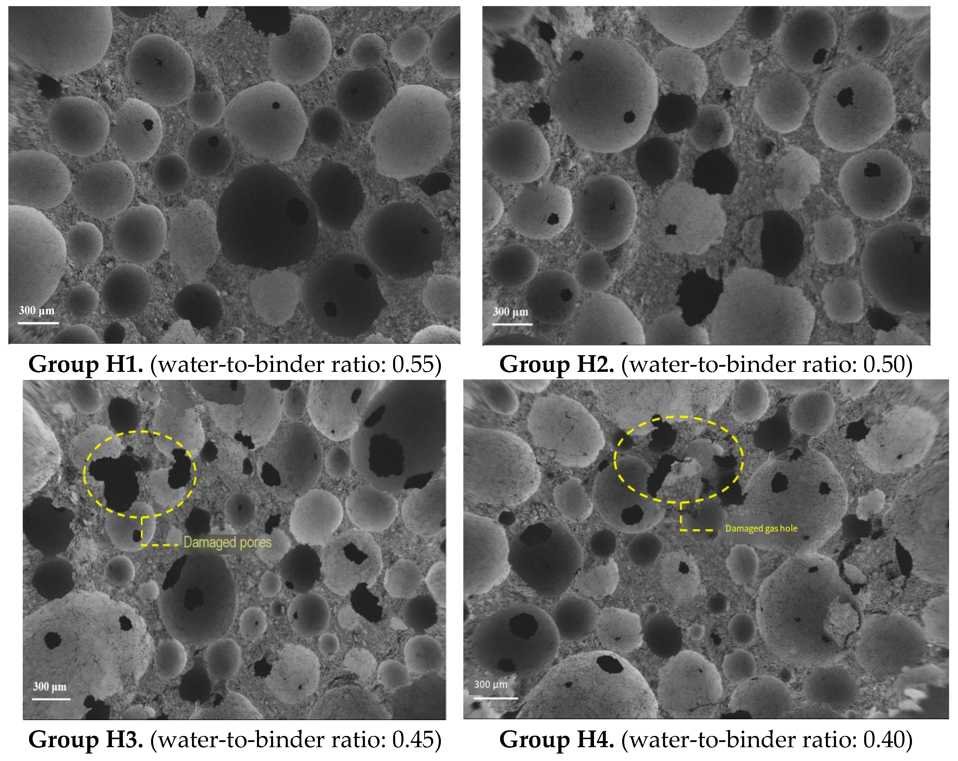 Coatings 15 00976 g013