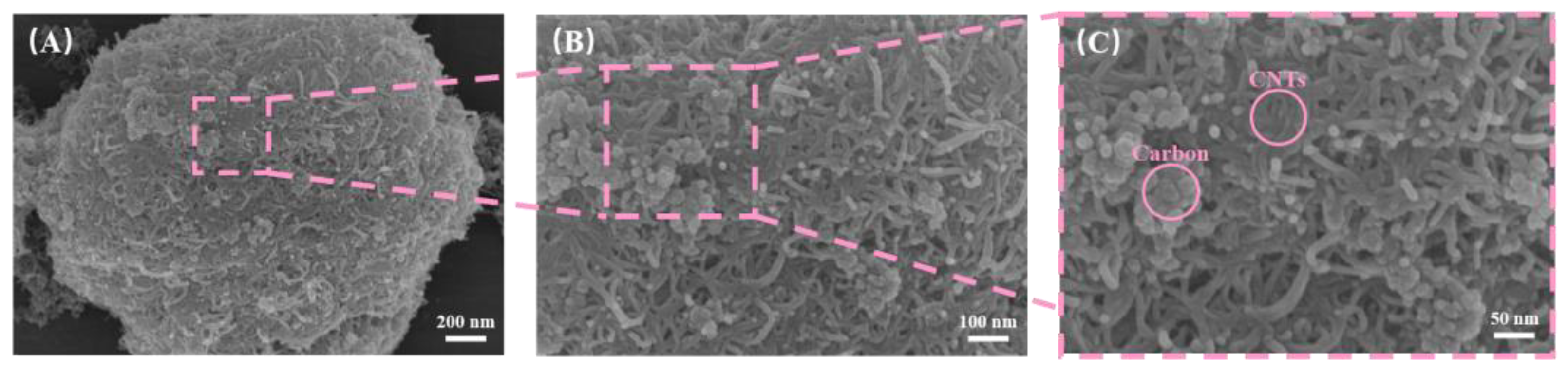 Coatings 15 00979 g004