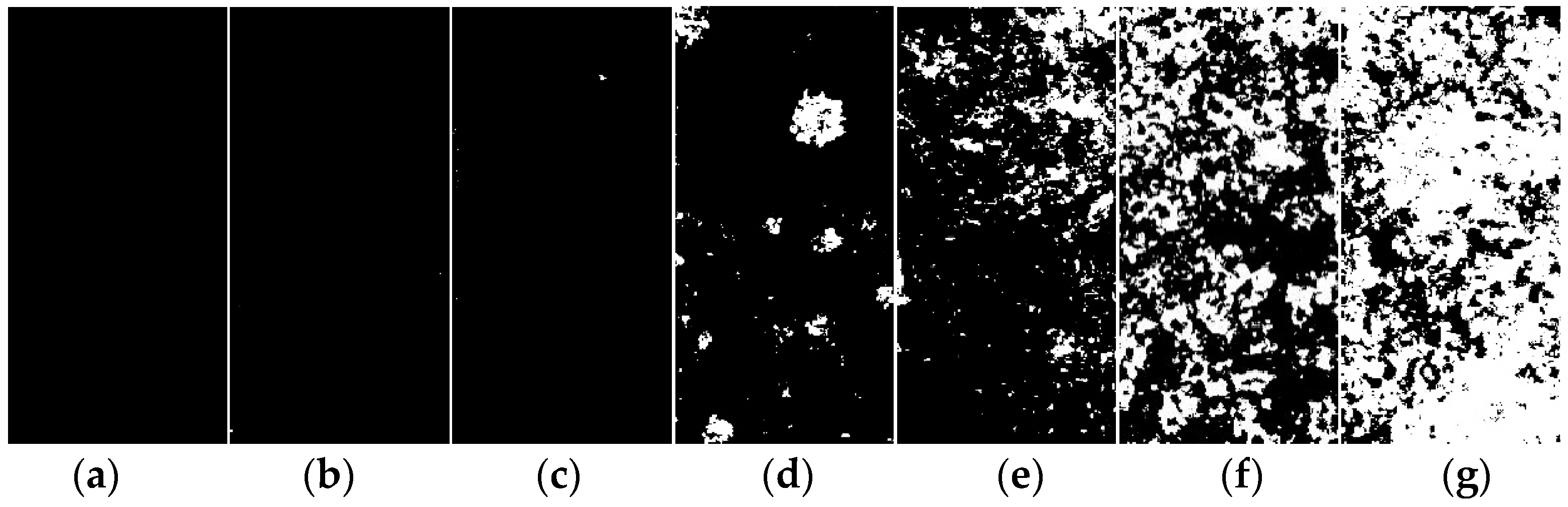 Coatings 15 00981 g003 Coatings 15 00981 g003