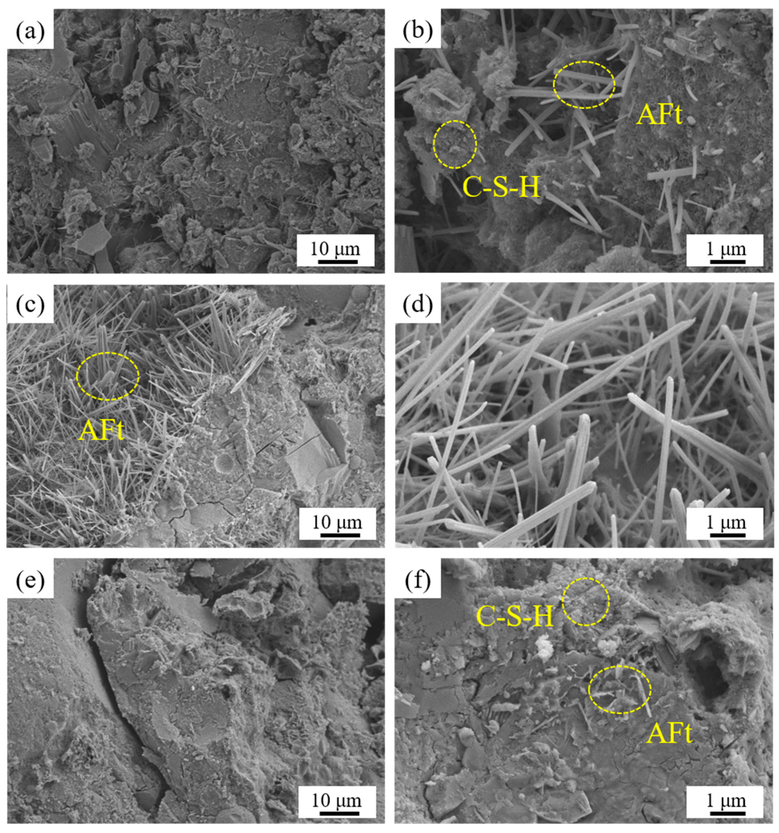 Coatings 15 00983 g007