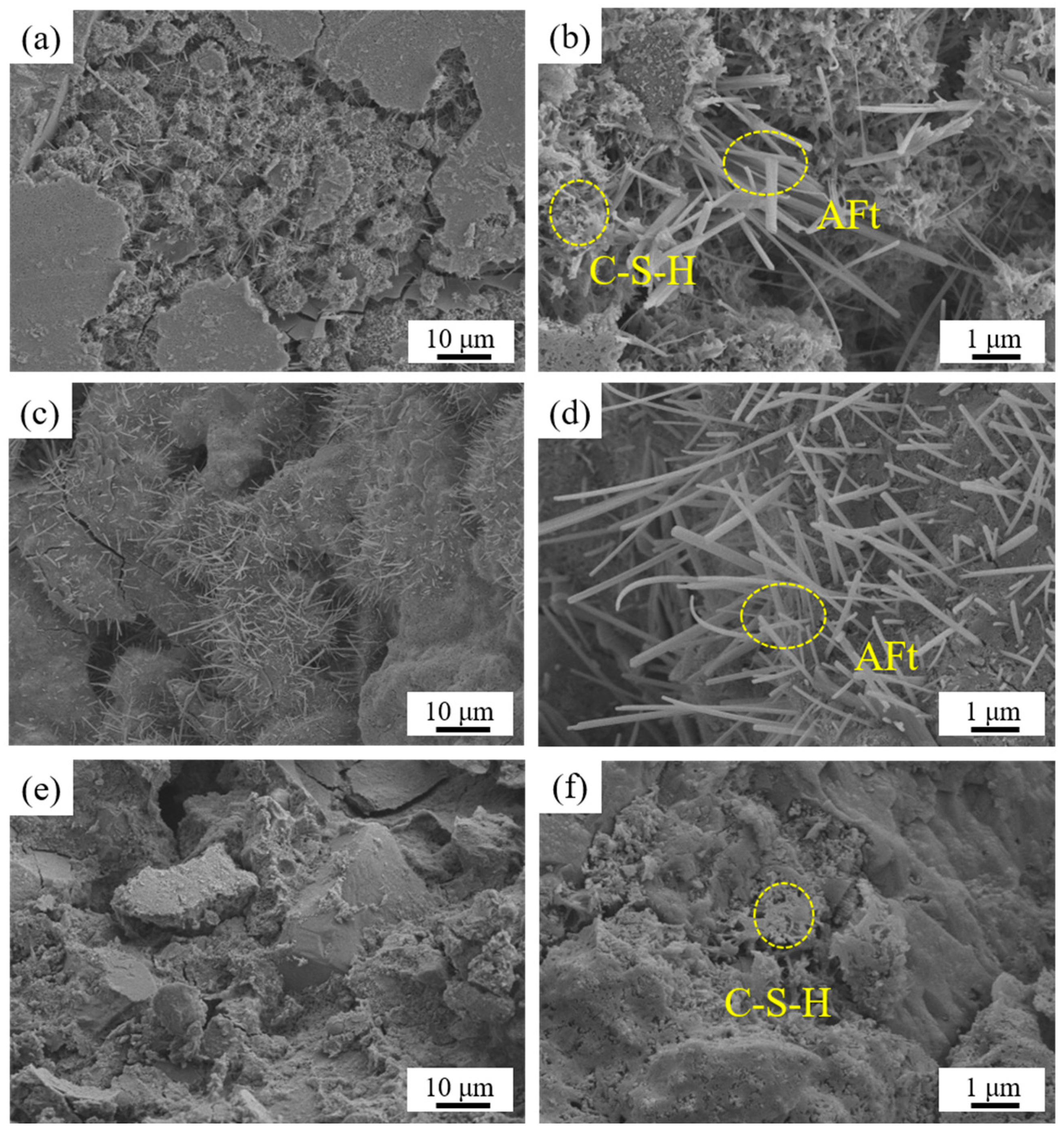 Coatings 15 00983 g008