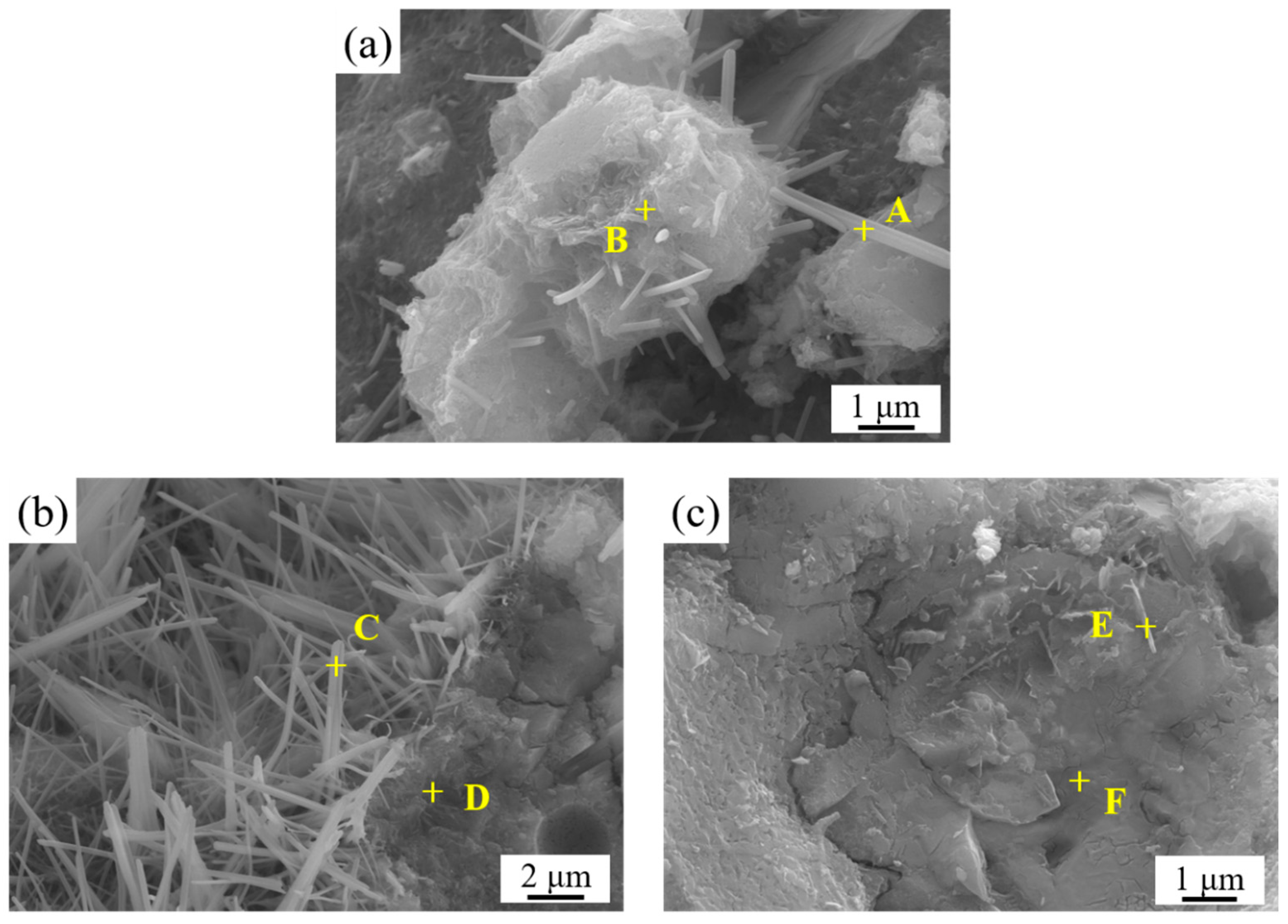 Coatings 15 00983 g009