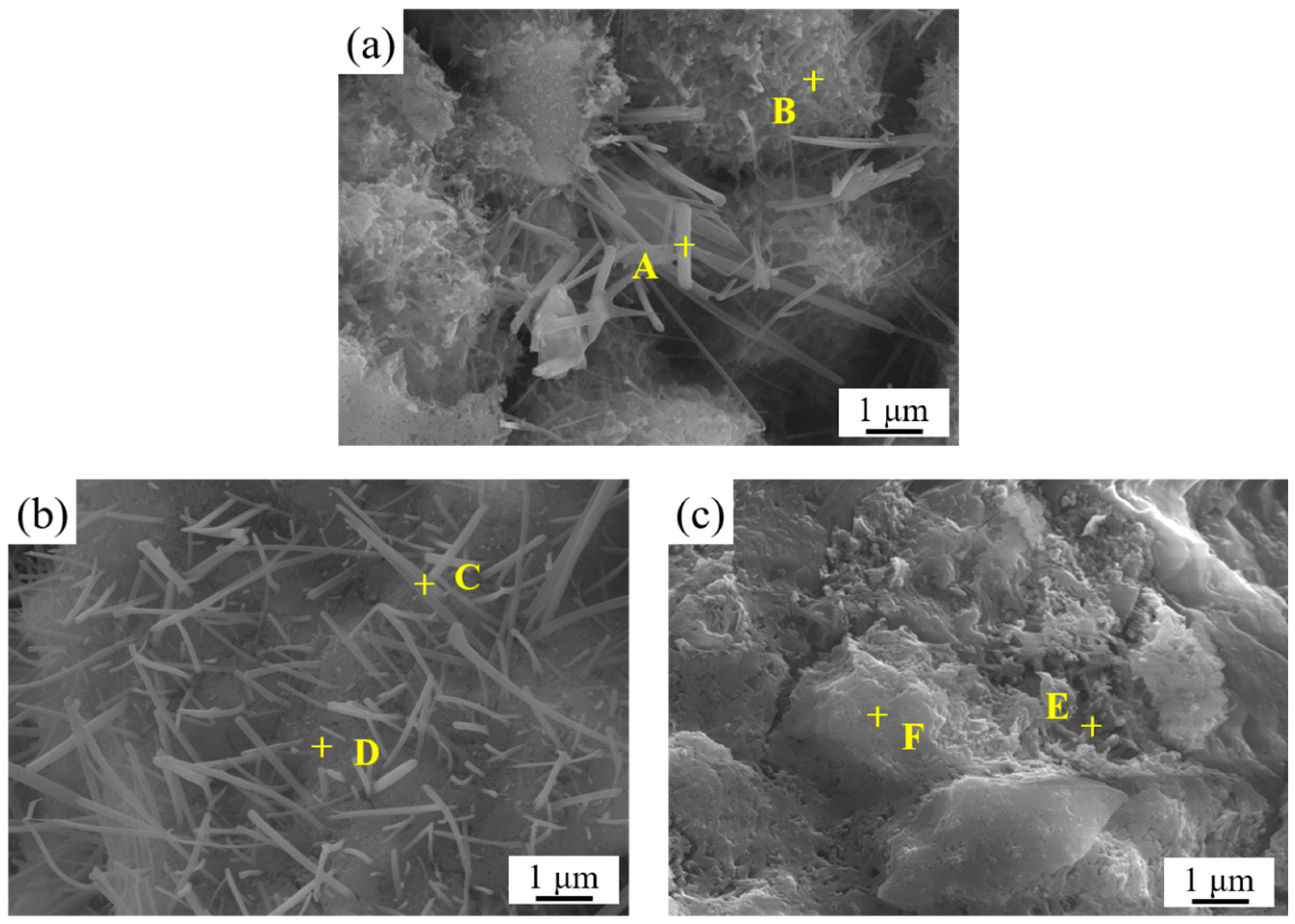 Coatings 15 00983 g010
