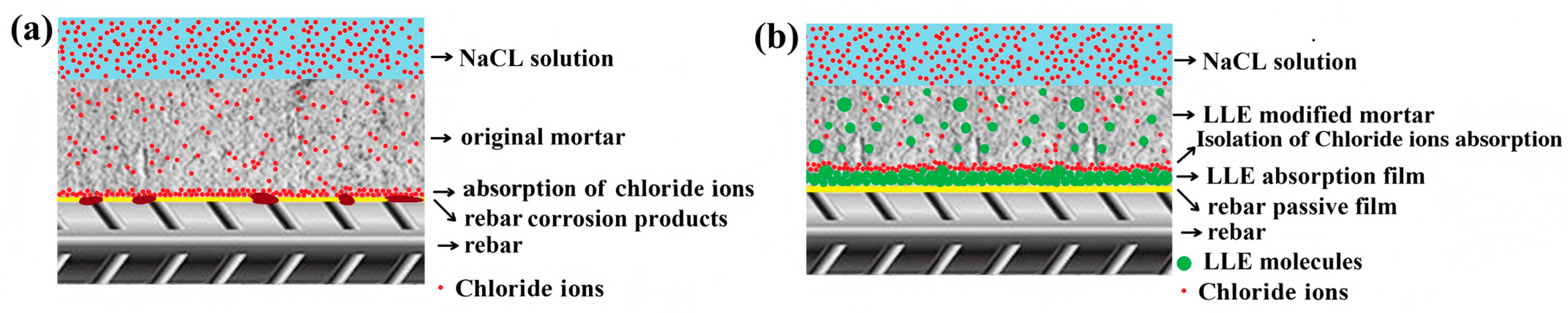 Coatings 15 00983 g014