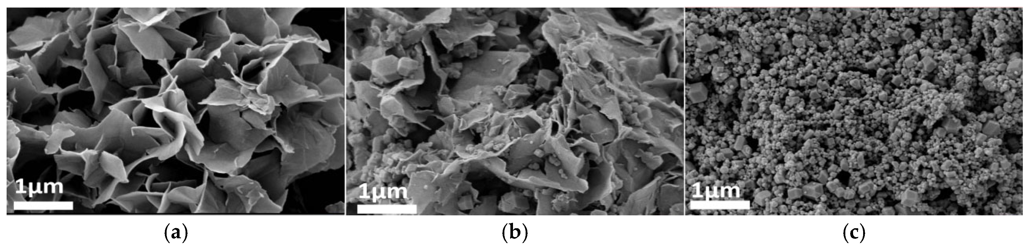 Coatings 15 00987 g007 Coatings 15 00987 g007