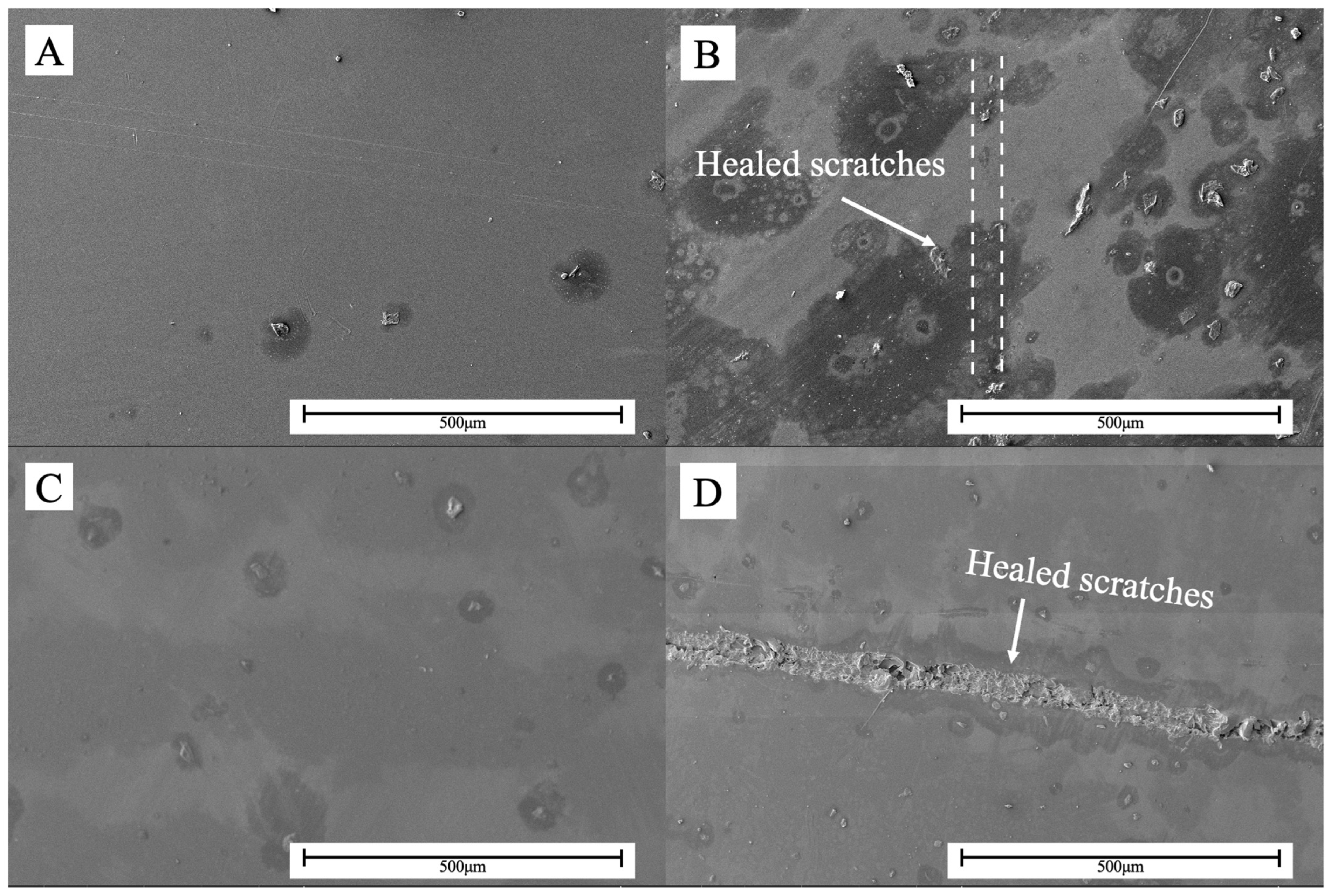 Coatings 15 00988 g009 Coatings 15 00988 g009