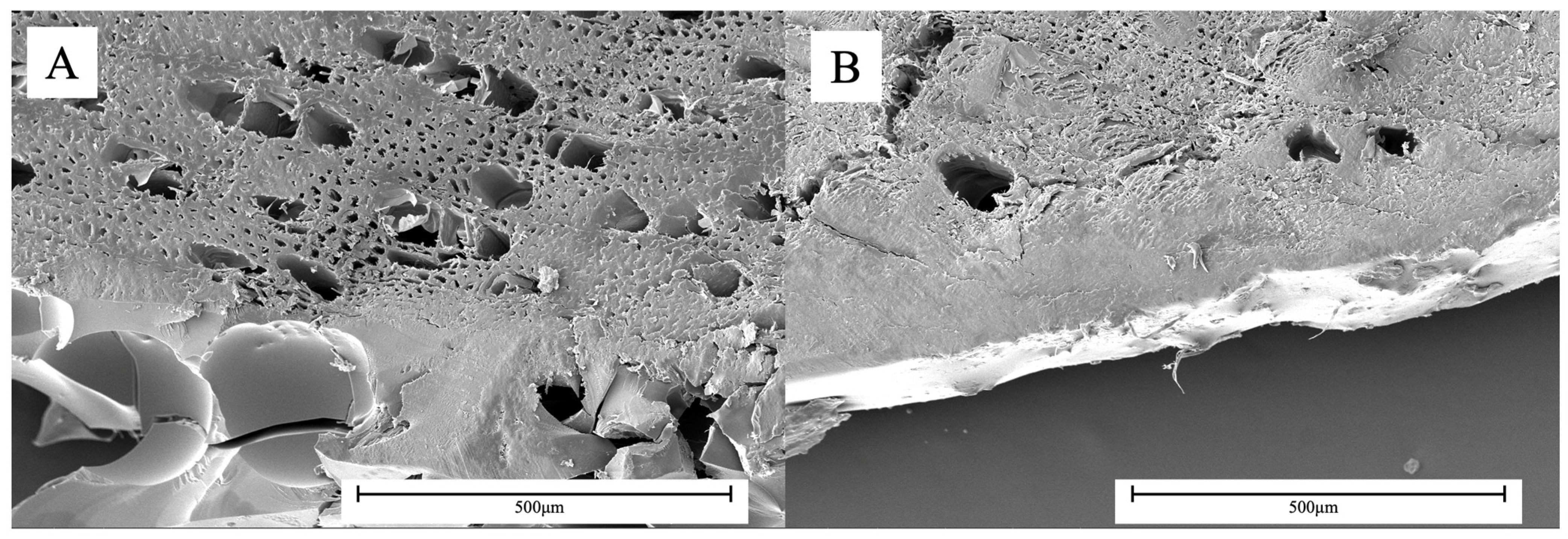 Coatings 15 00988 g010 Coatings 15 00988 g010