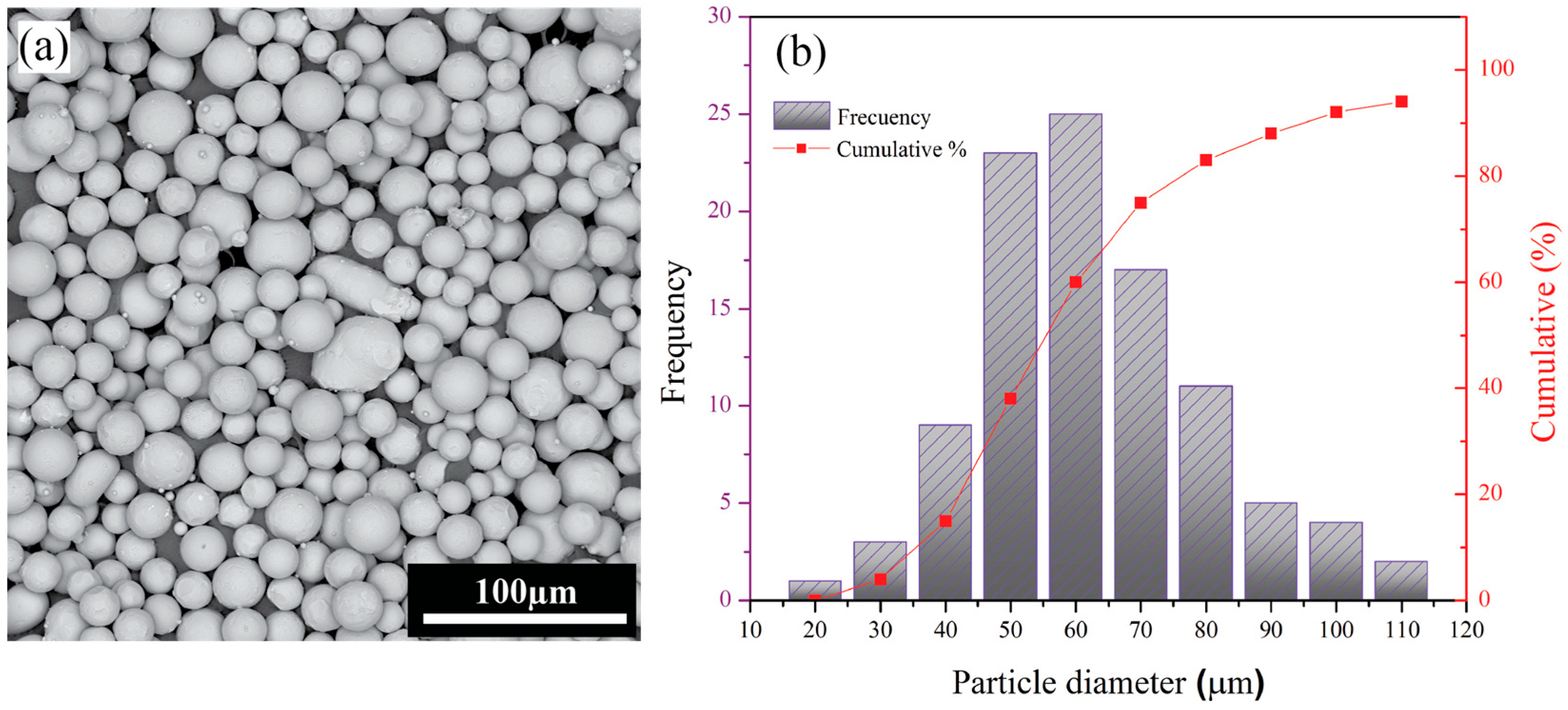 Coatings 15 00993 g001 Coatings 15 00993 g001