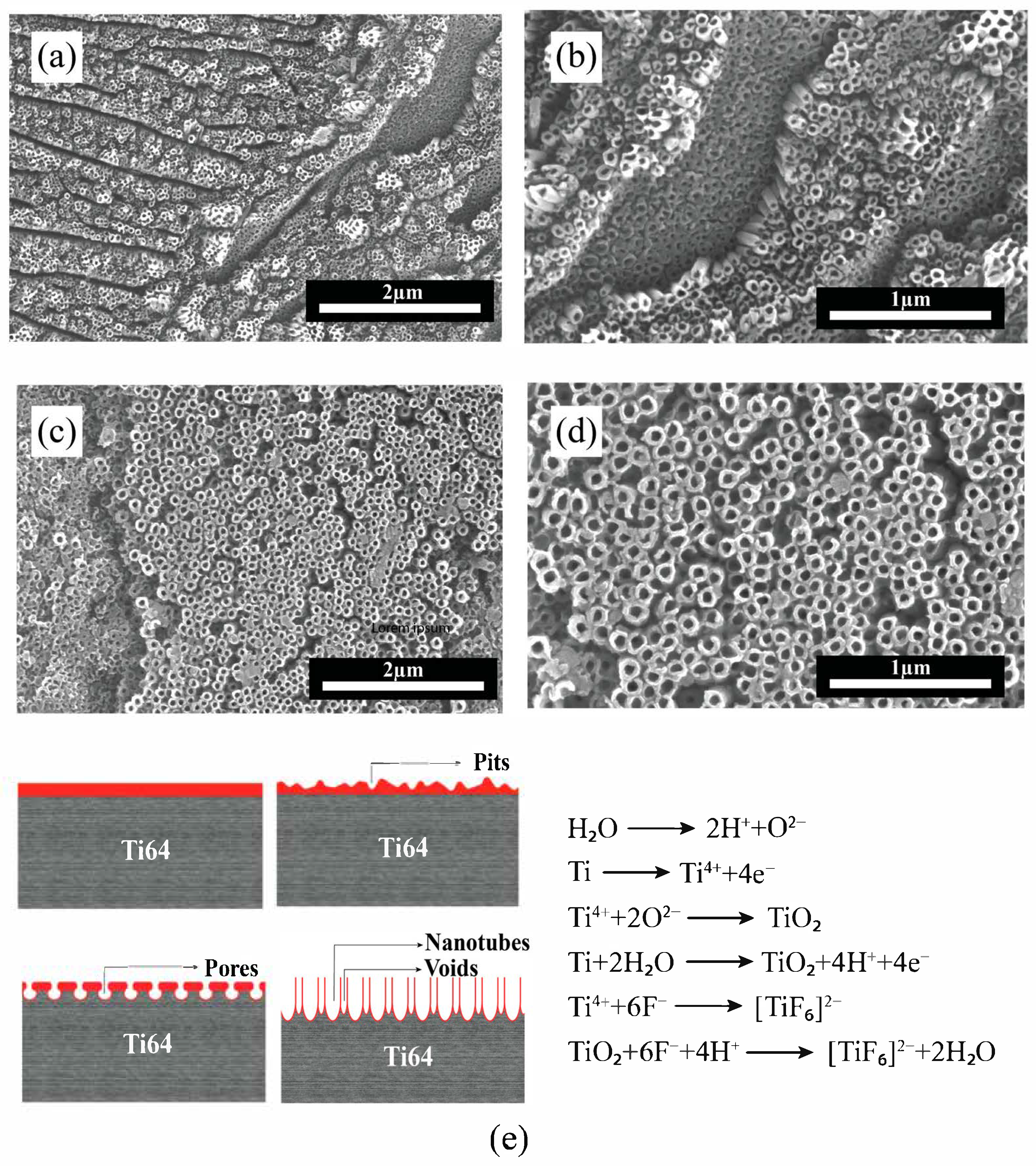 Coatings 15 00993 g007 Coatings 15 00993 g007