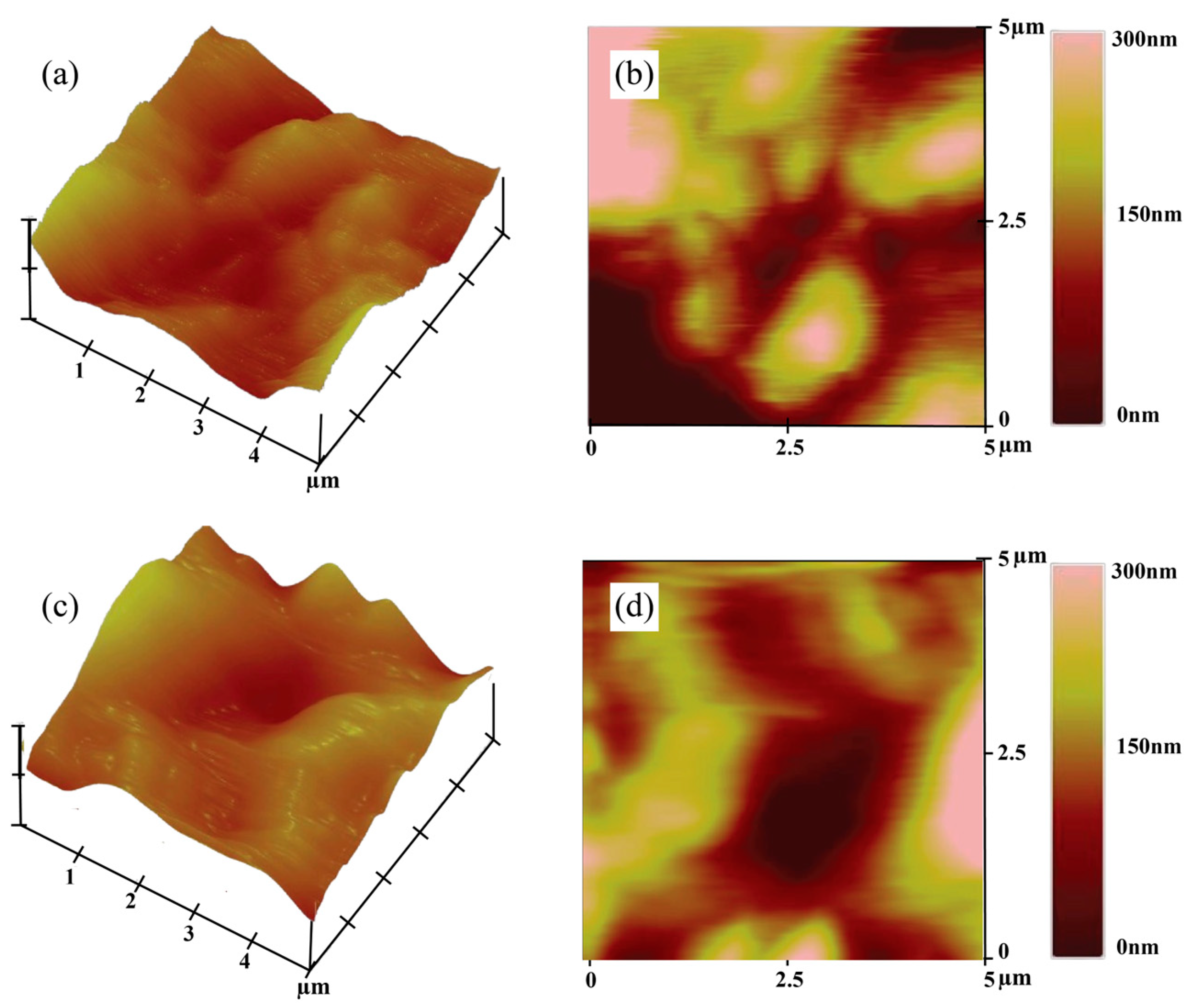 Coatings 15 00993 g009 Coatings 15 00993 g009