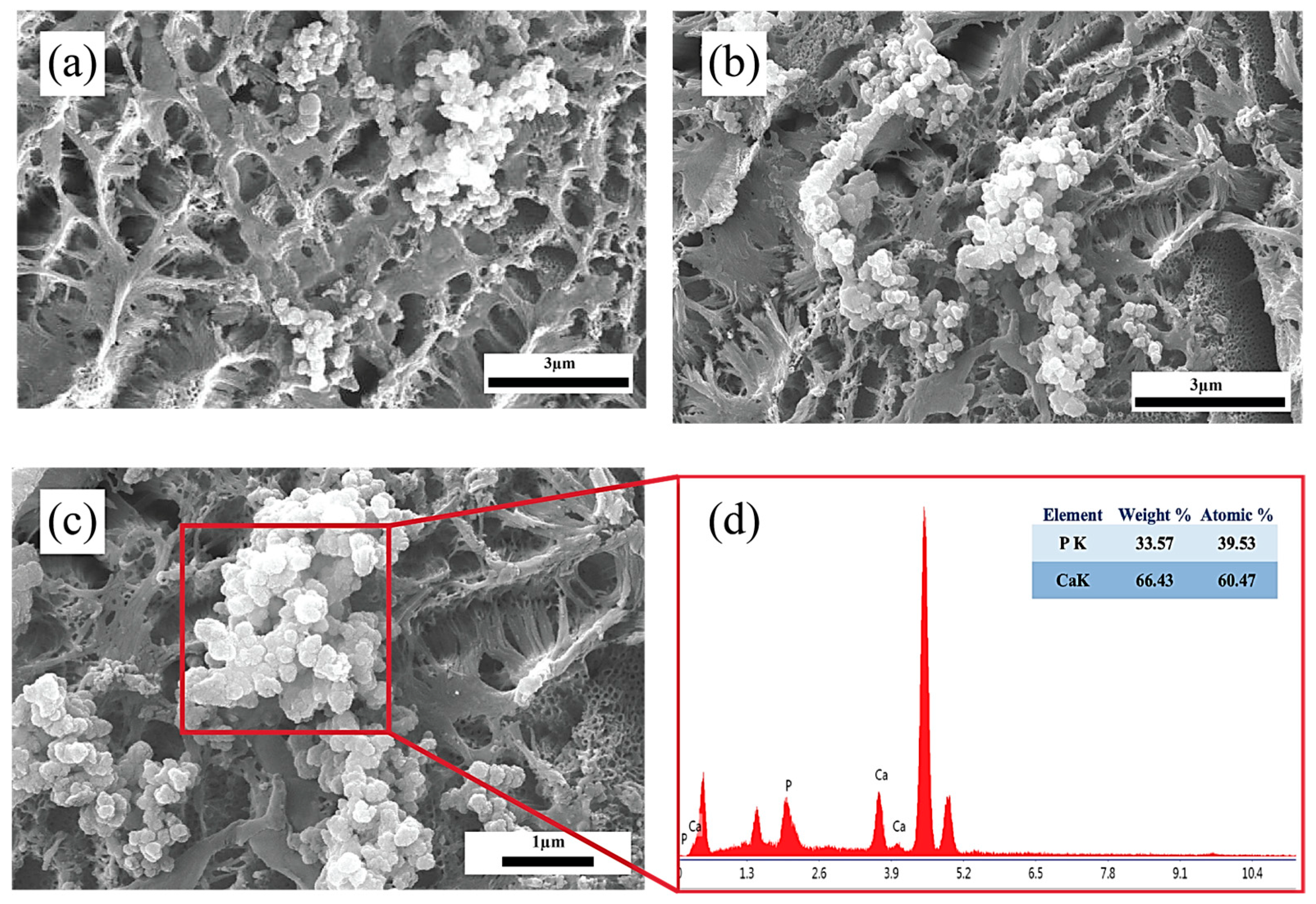 Coatings 15 00993 g012 Coatings 15 00993 g012