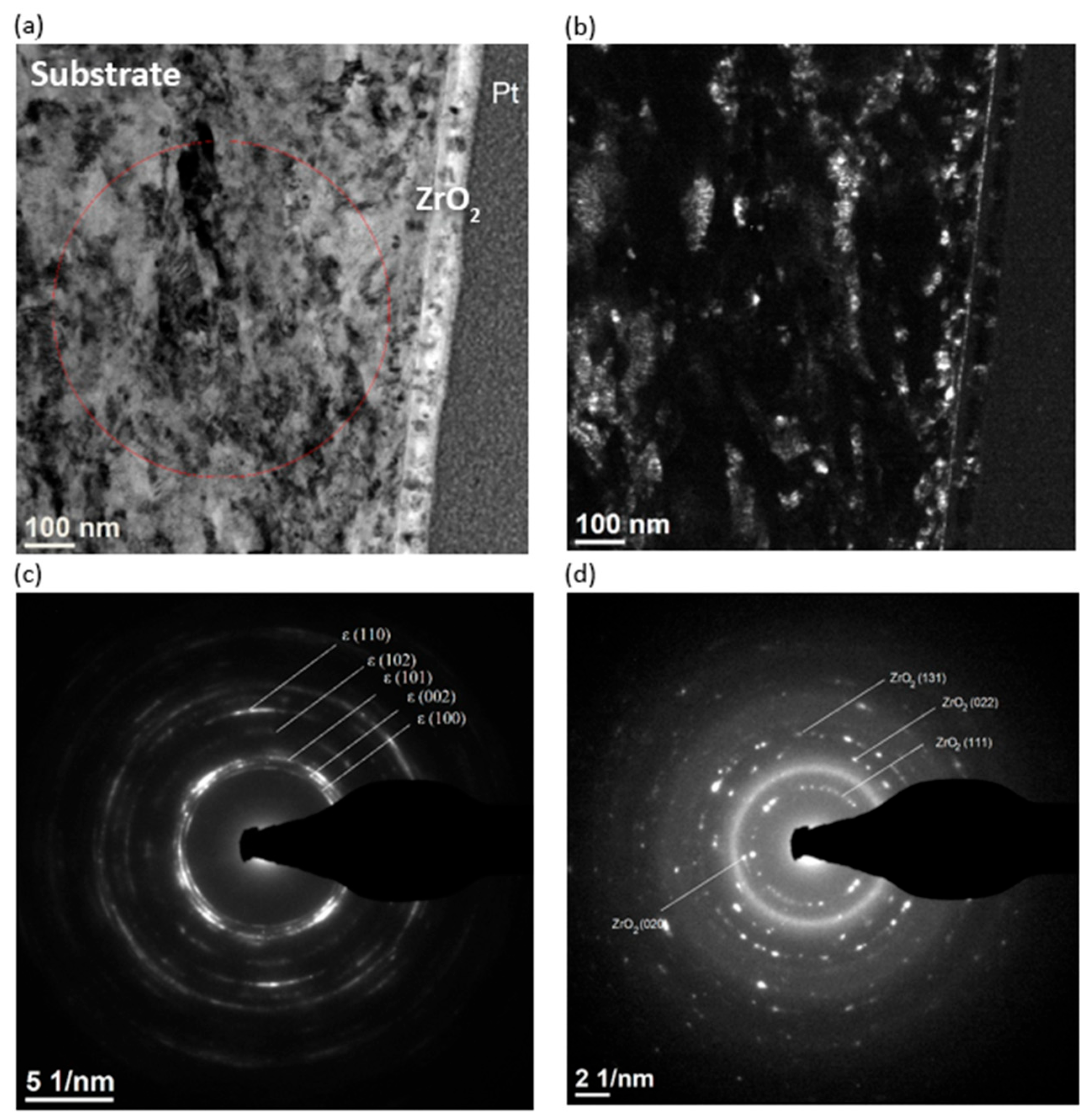 Coatings 15 00994 g004 Coatings 15 00994 g004