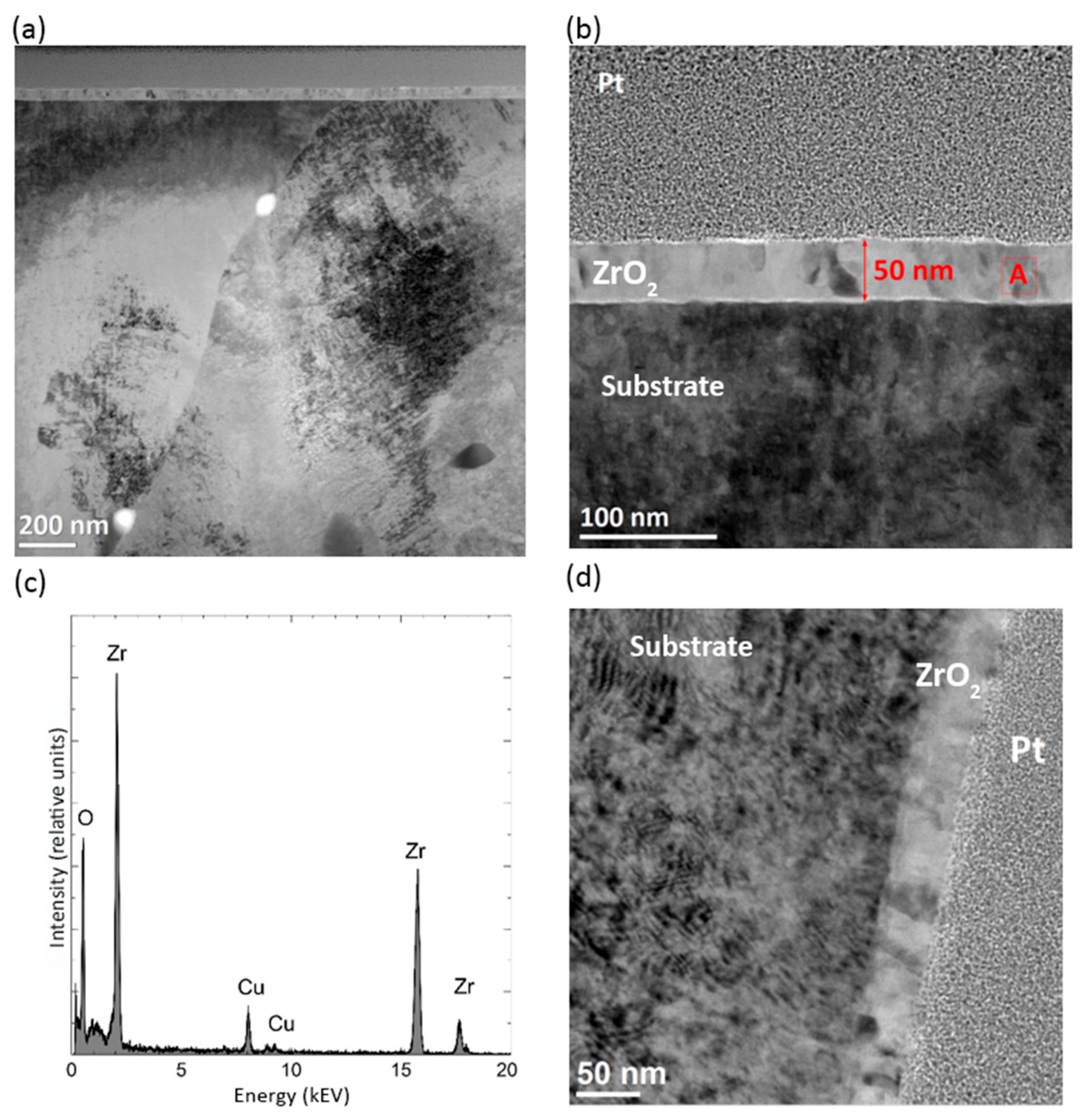 Coatings 15 00994 g005 Coatings 15 00994 g005