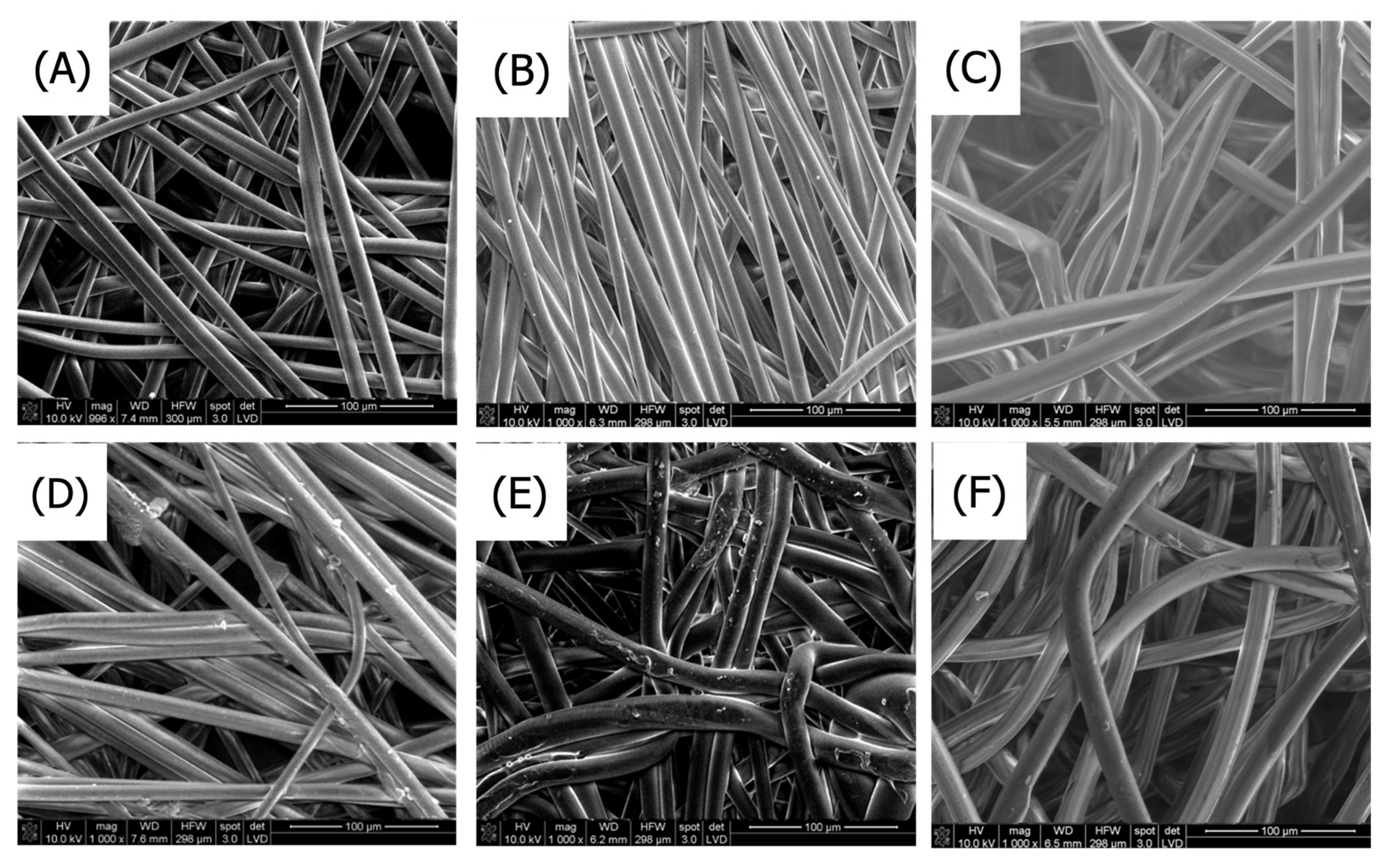 Coatings 15 00996 g001