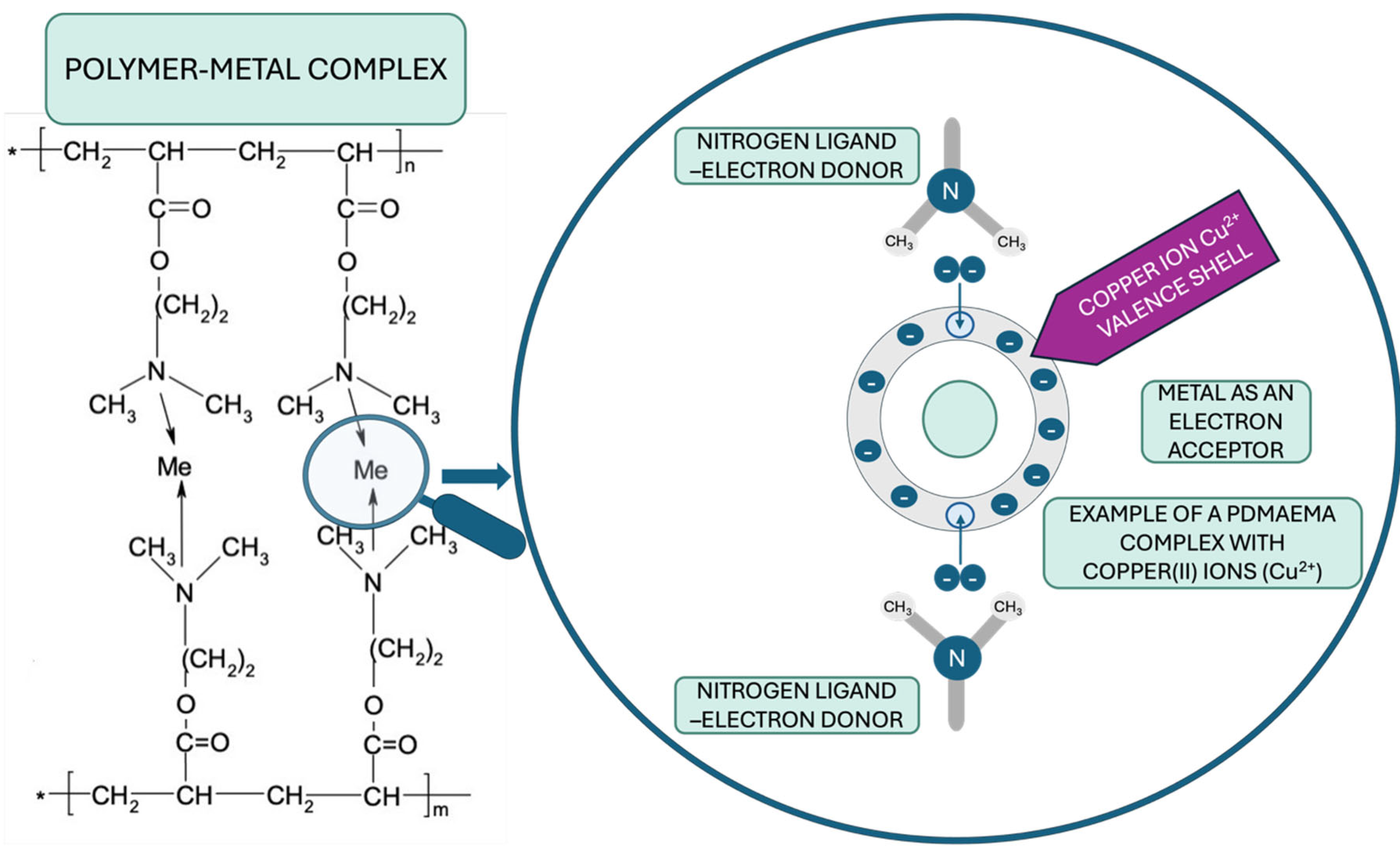 Coatings 15 00996 g005