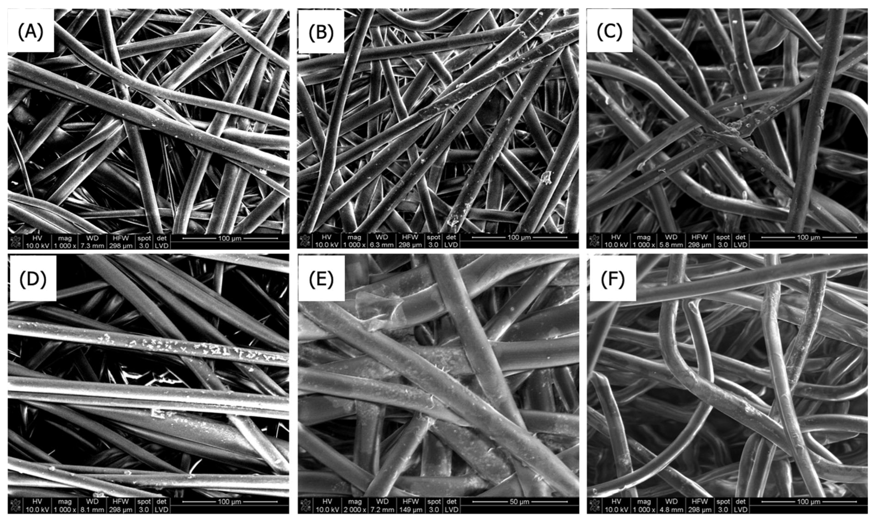 Coatings 15 00996 g006