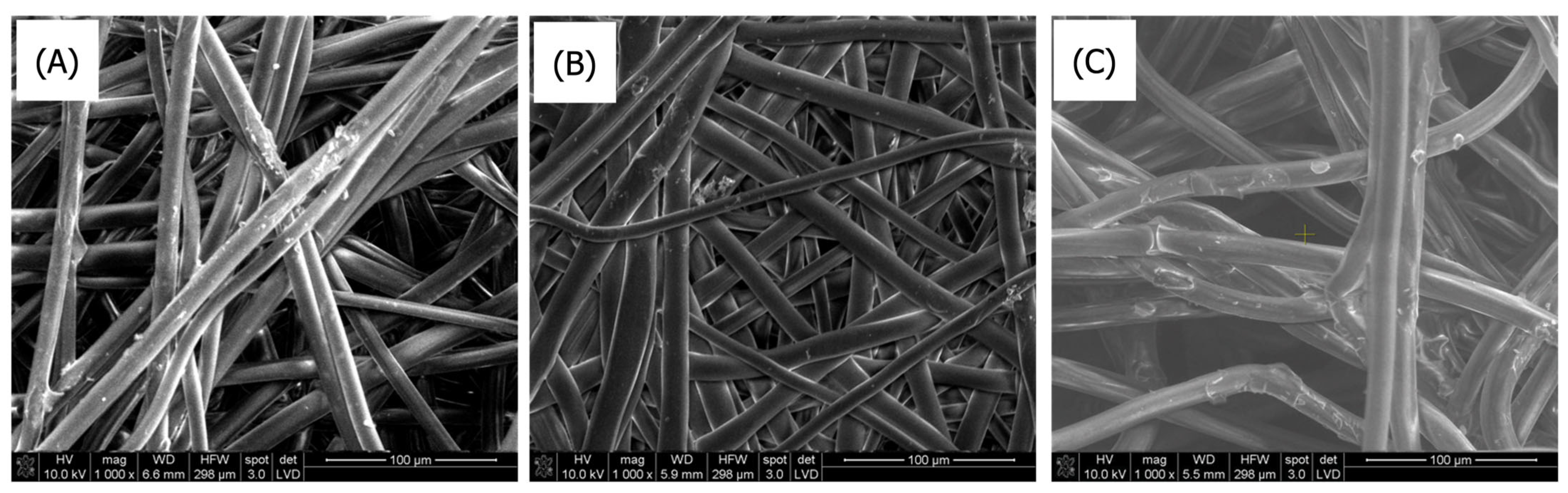 Coatings 15 00996 g010