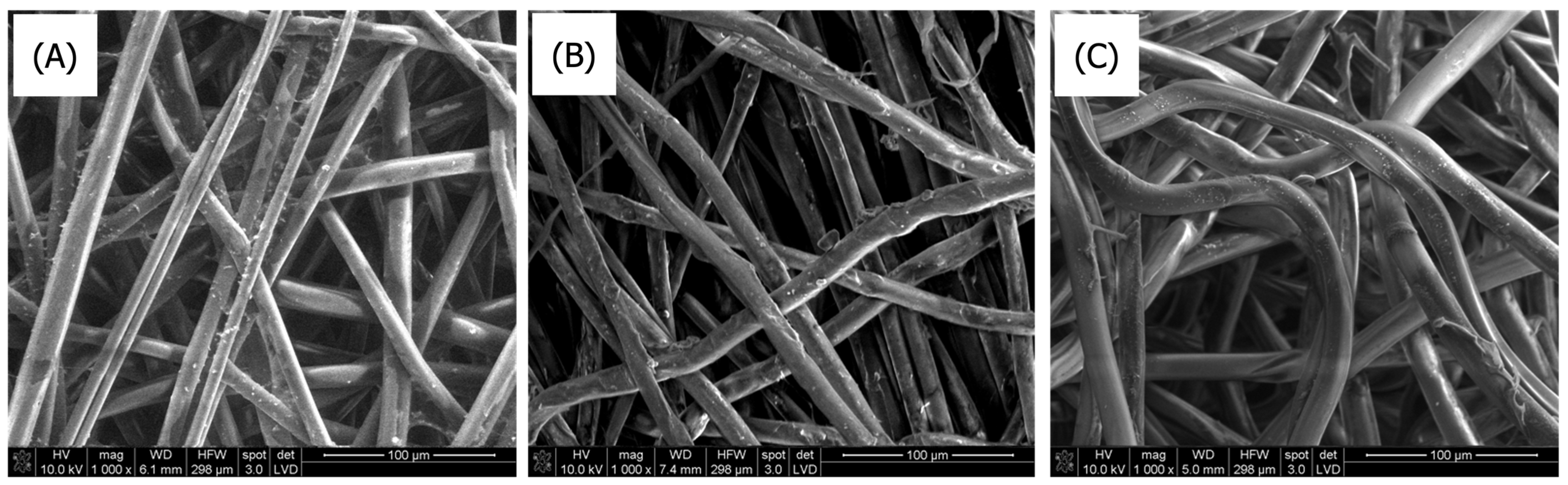 Coatings 15 00996 g012