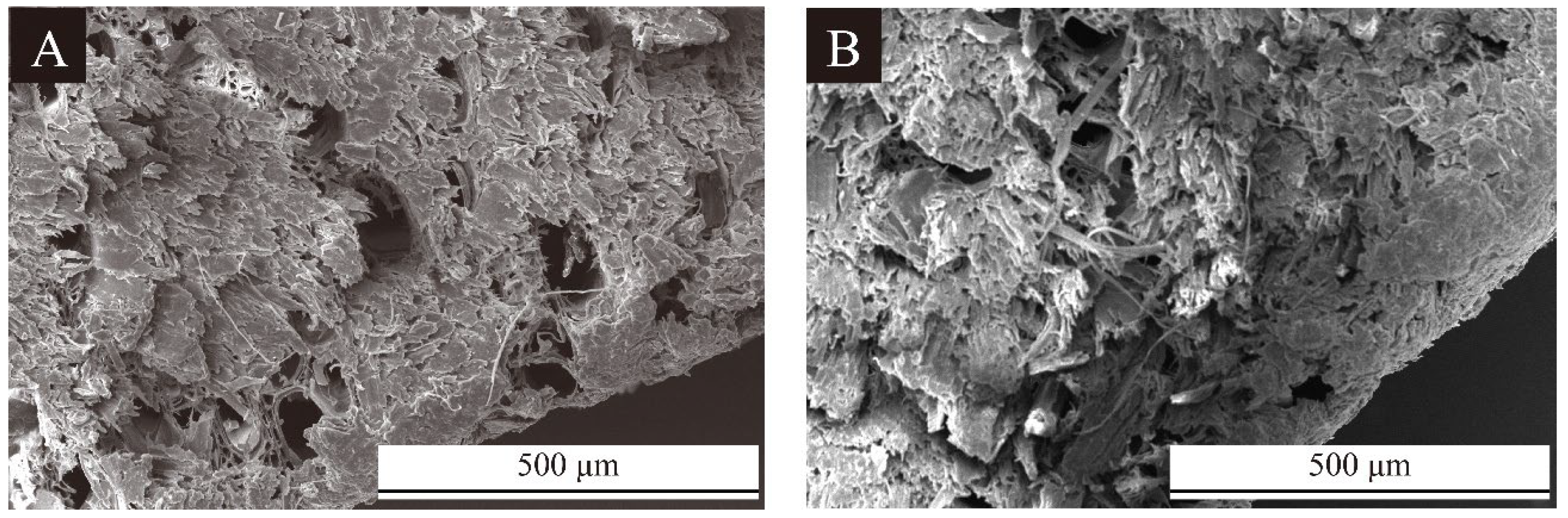 Coatings 15 00997 g003