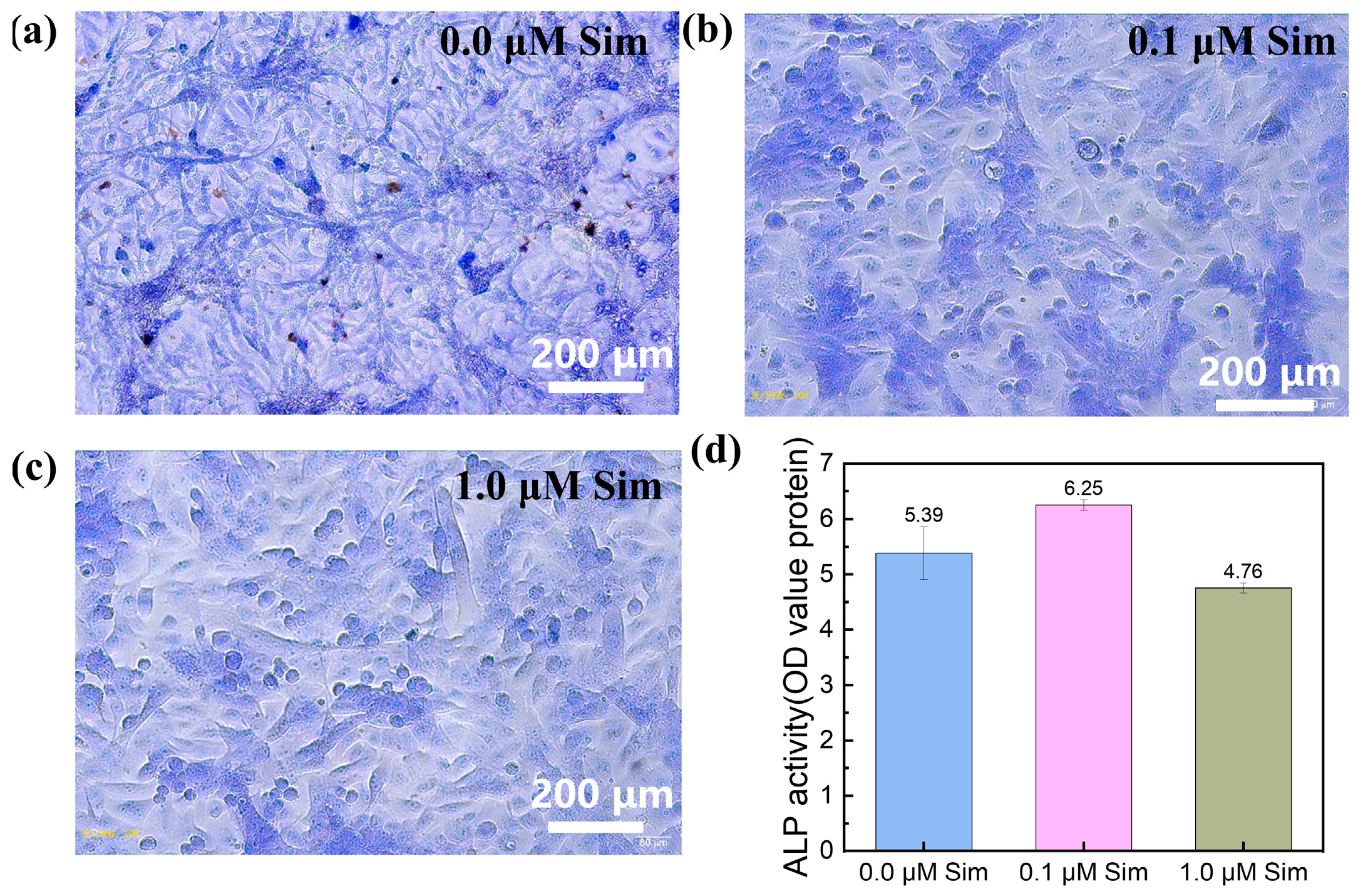 Coatings 15 01004 g008