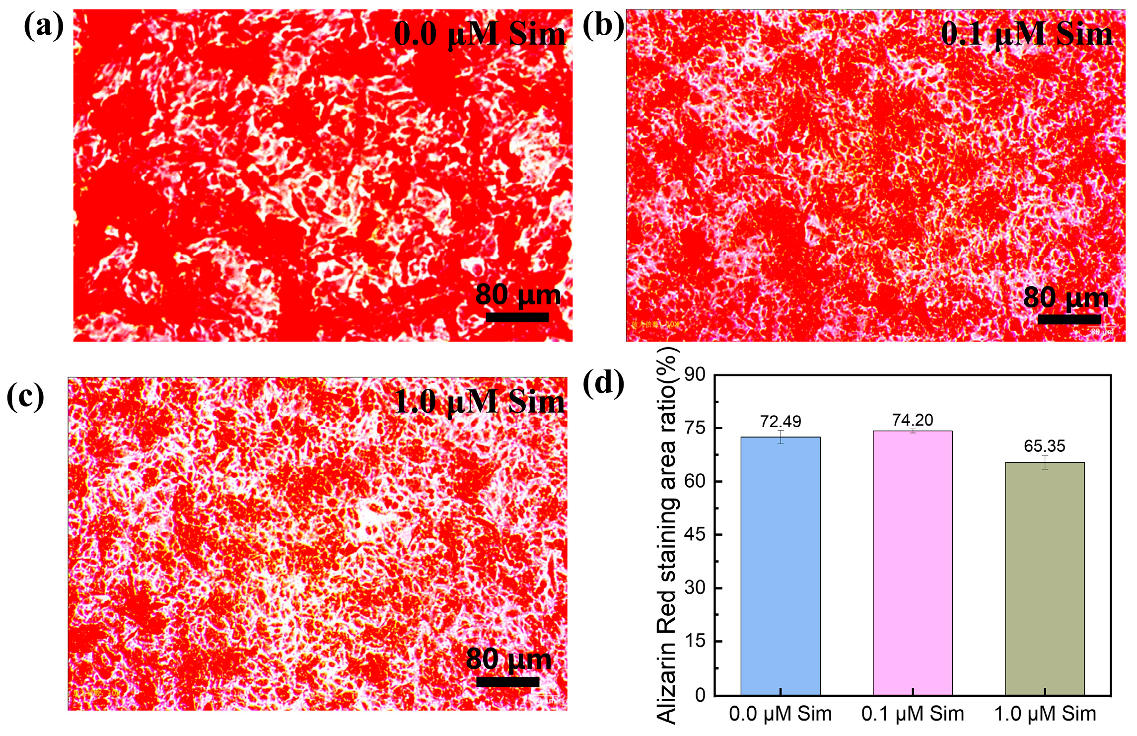 Coatings 15 01004 g009