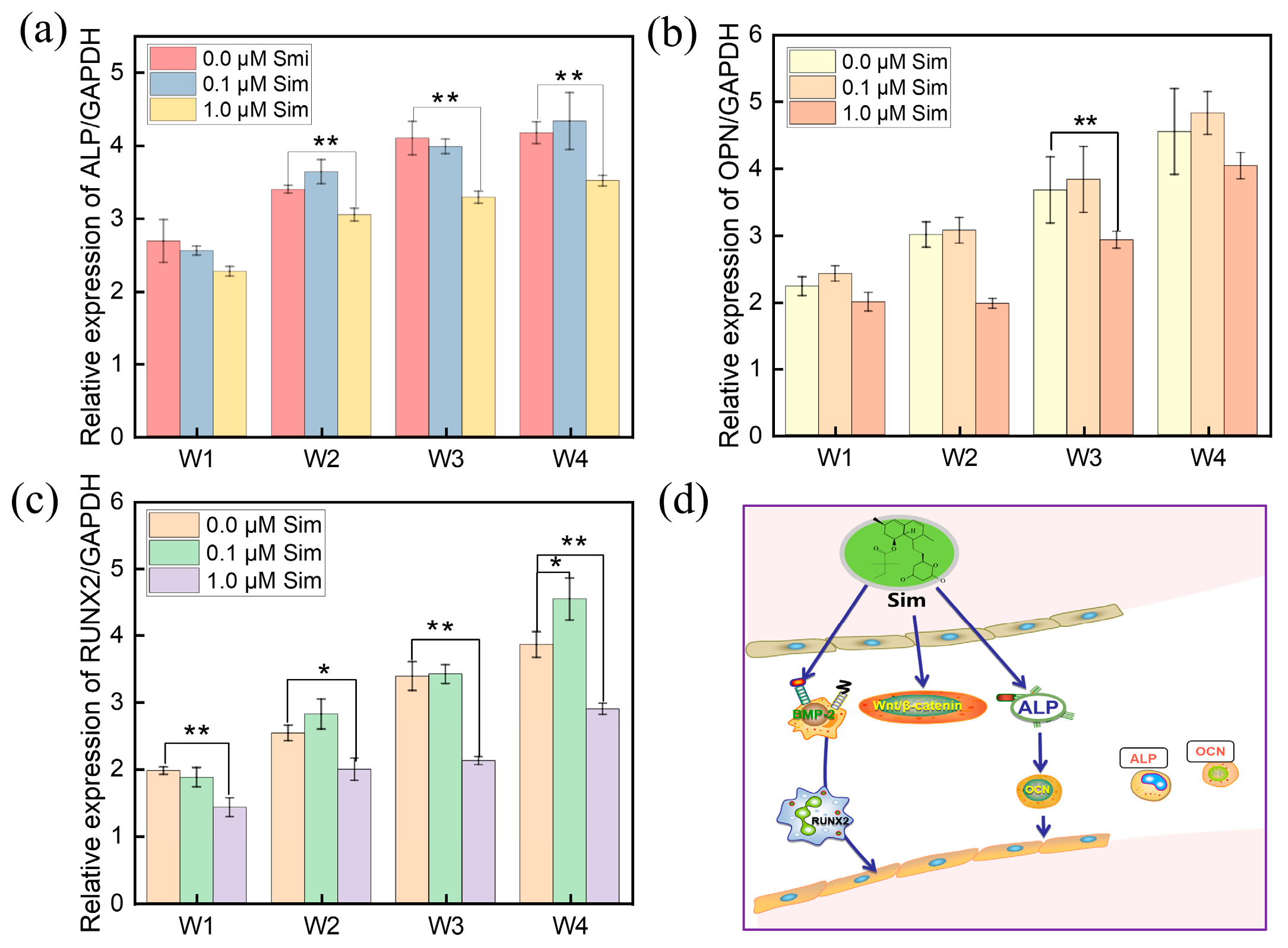 Coatings 15 01004 g010