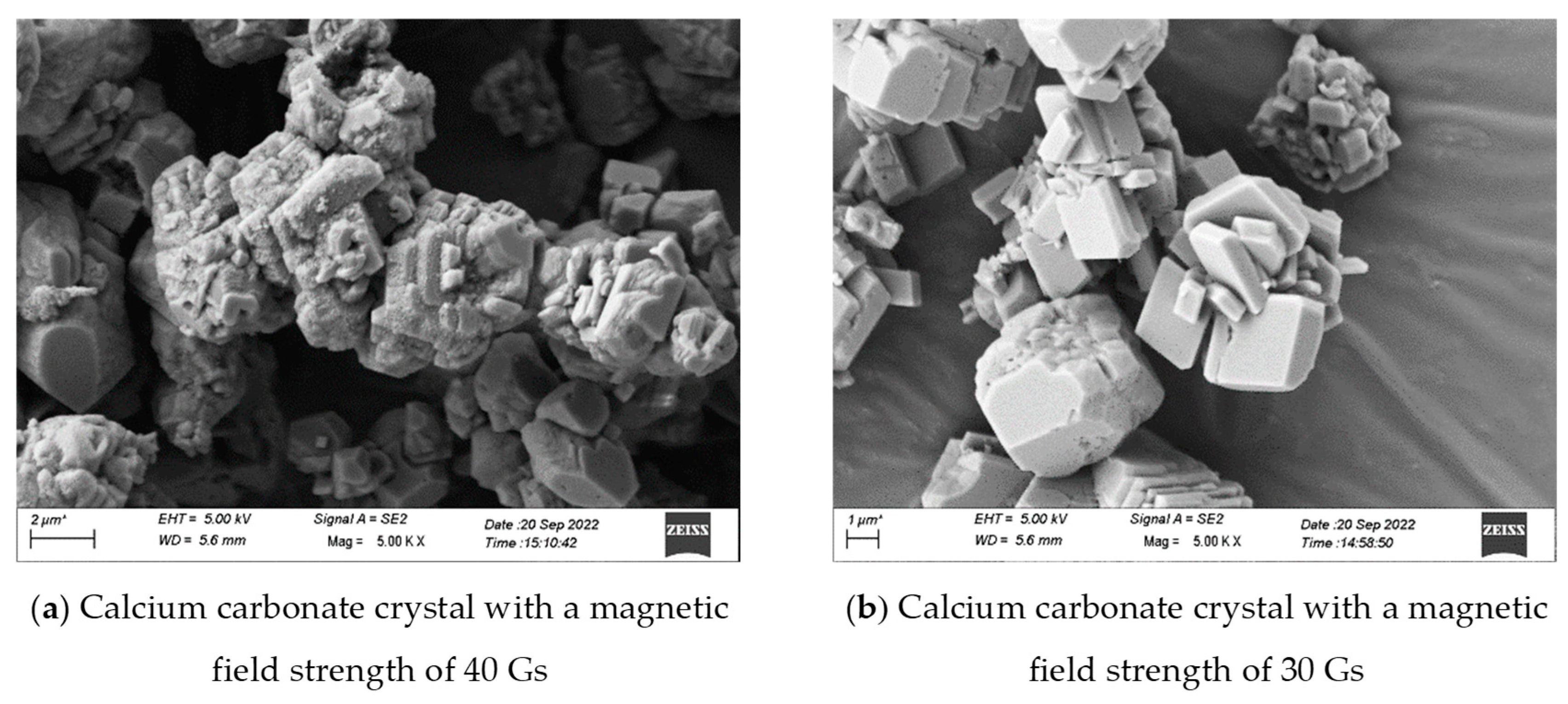 Coatings 15 01005 g011