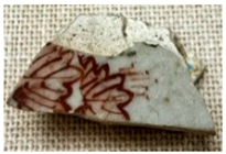 Coatings 15 01007 i045