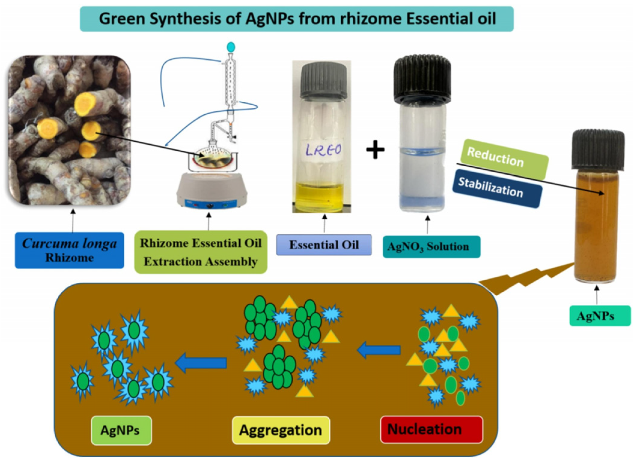 Coatings 15 01008 g005 Coatings 15 01008 g005