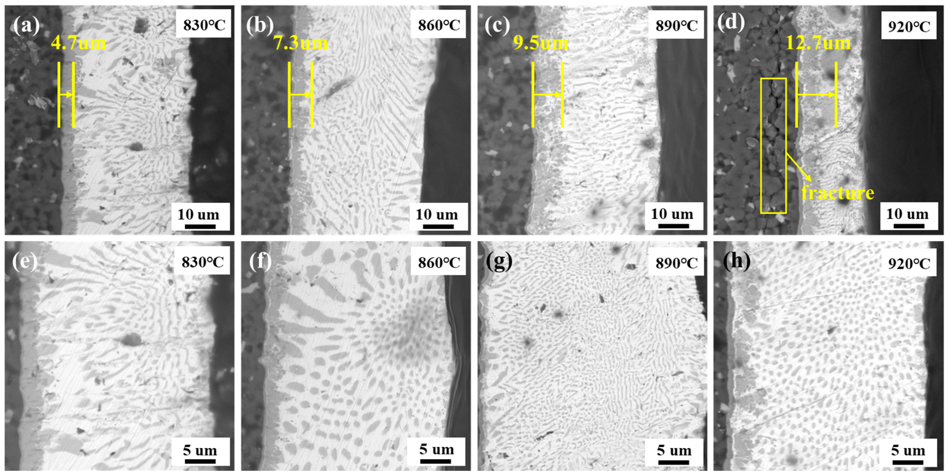 Coatings 15 01011 g003 Coatings 15 01011 g003