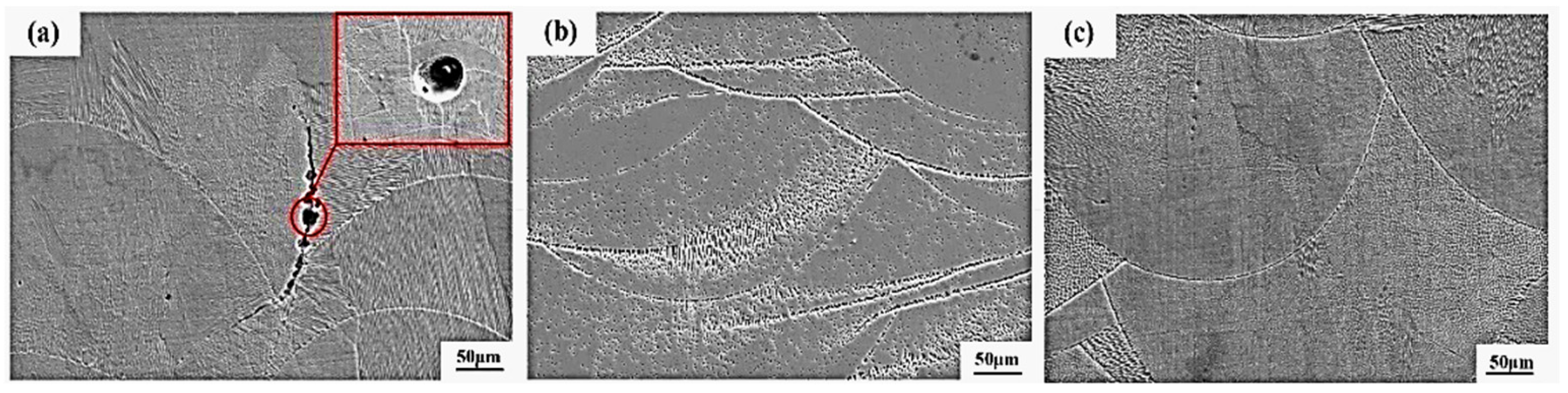 Coatings 15 01015 g011 Coatings 15 01015 g011