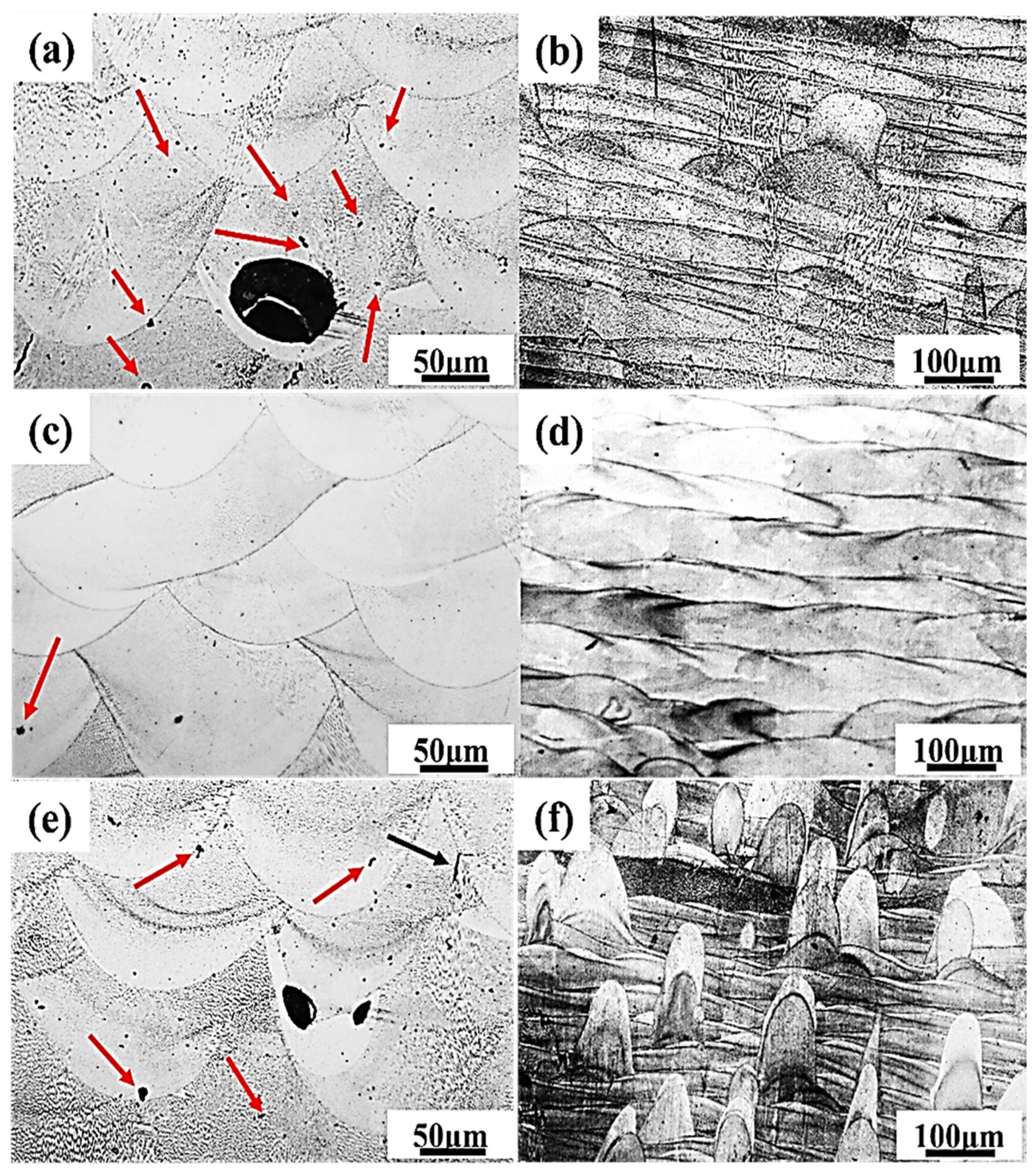 Coatings 15 01015 g015 Coatings 15 01015 g015