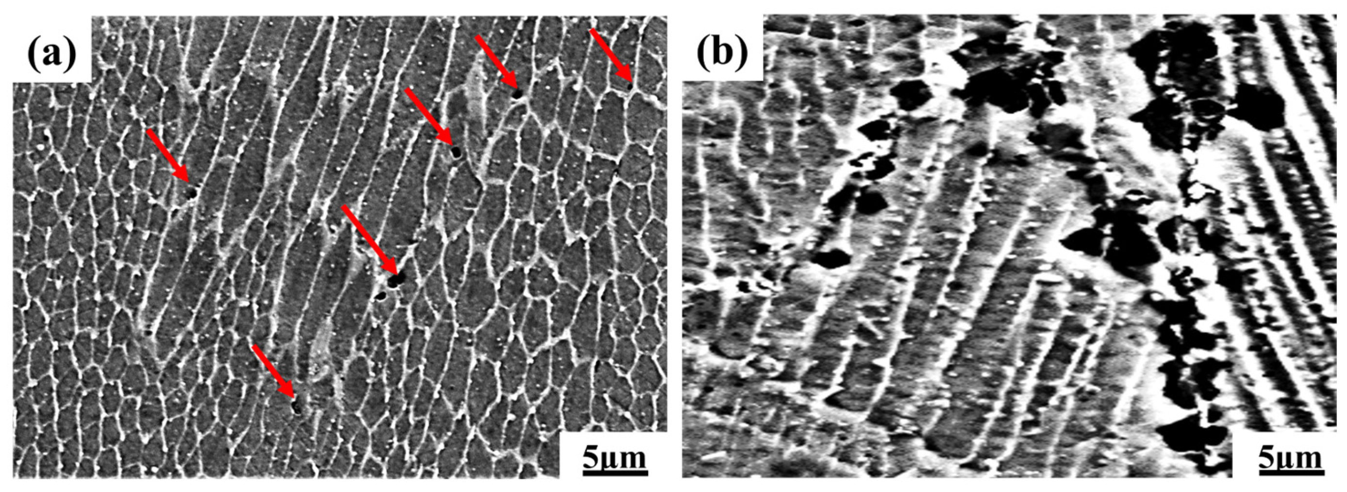 Coatings 15 01015 g016 Coatings 15 01015 g016