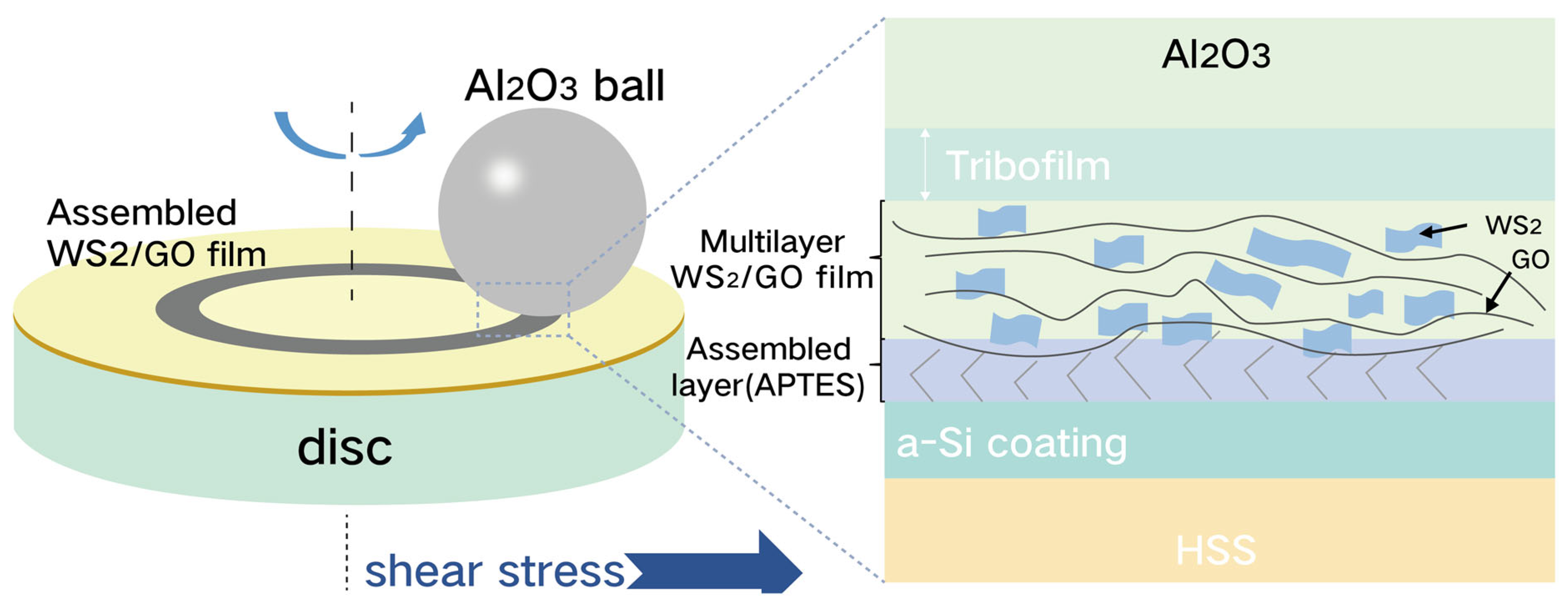 Coatings 15 01016 g007 Coatings 15 01016 g007