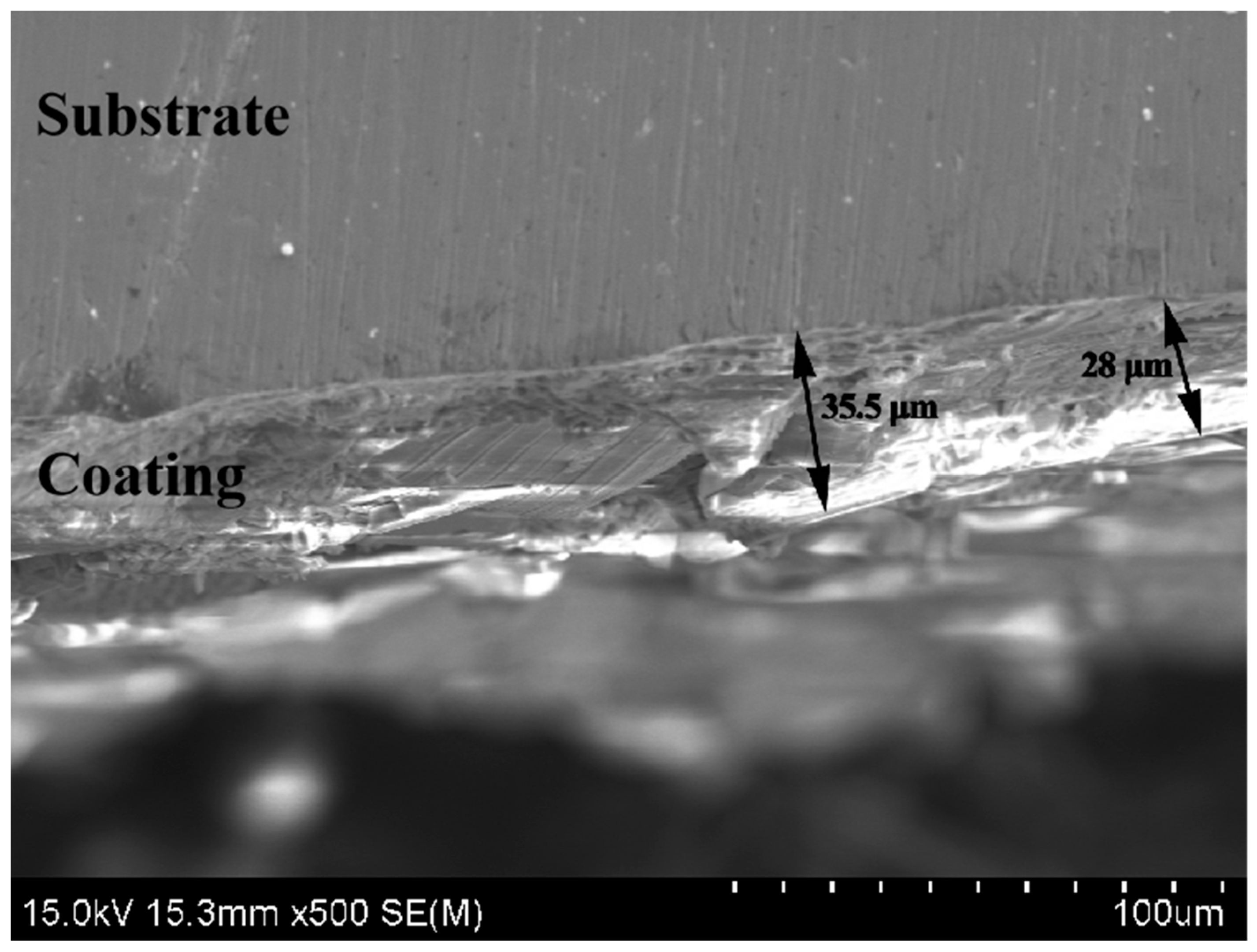 Coatings 15 01018 g005 Coatings 15 01018 g005