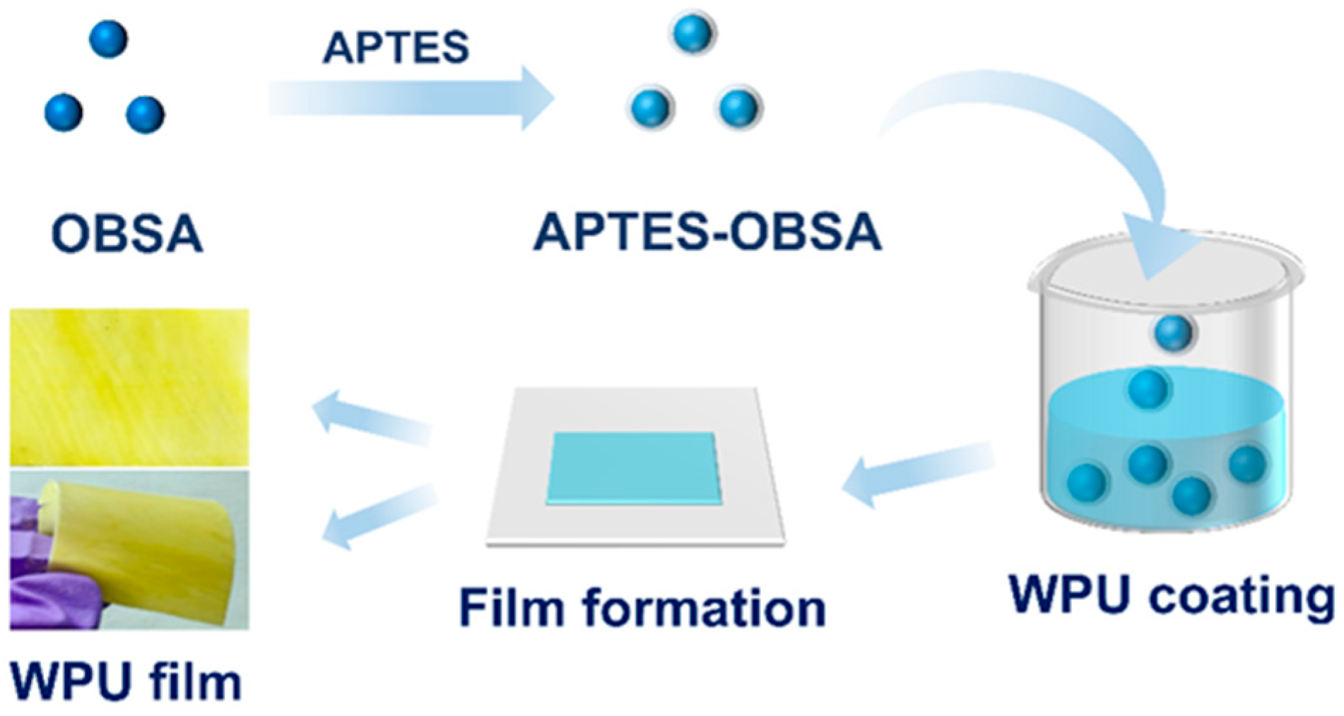 Coatings 15 01021 g001 Coatings 15 01021 g001