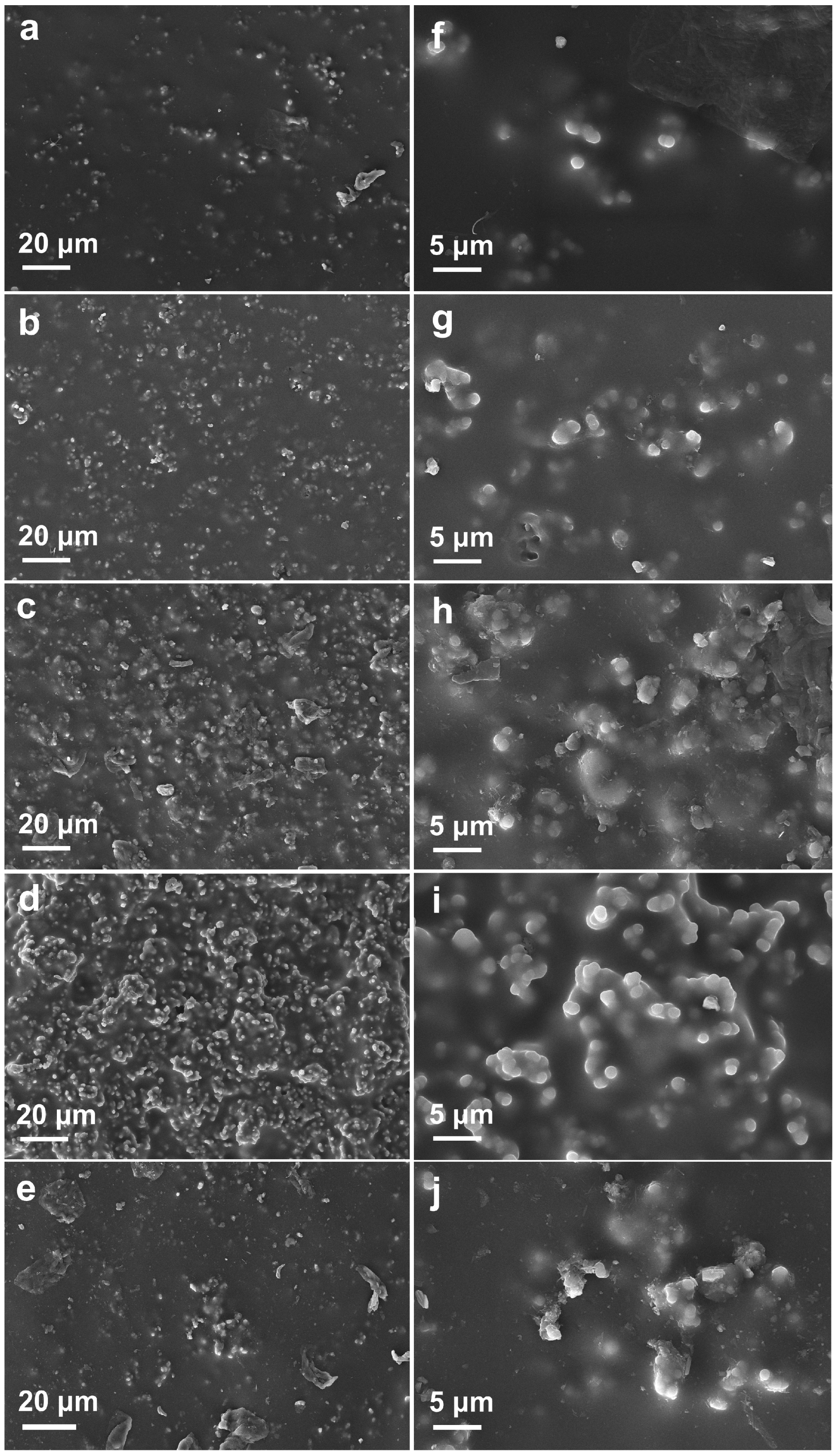 Coatings 15 01021 g006 Coatings 15 01021 g006
