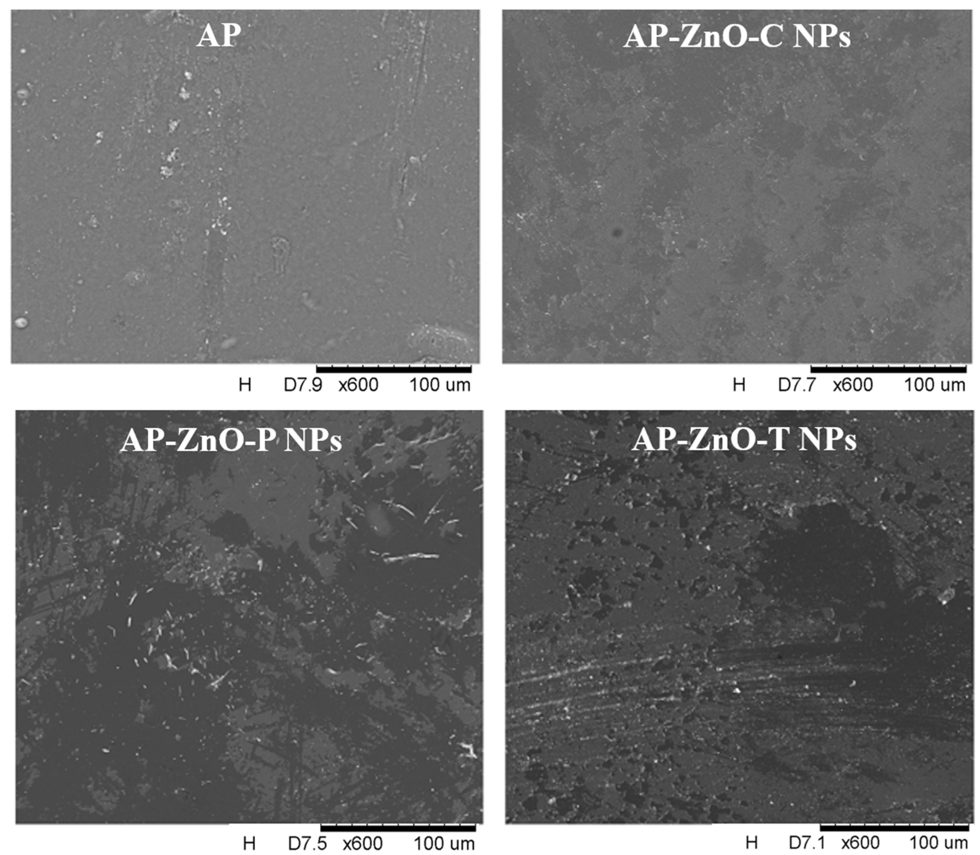 Coatings 15 01024 g002 Coatings 15 01024 g002