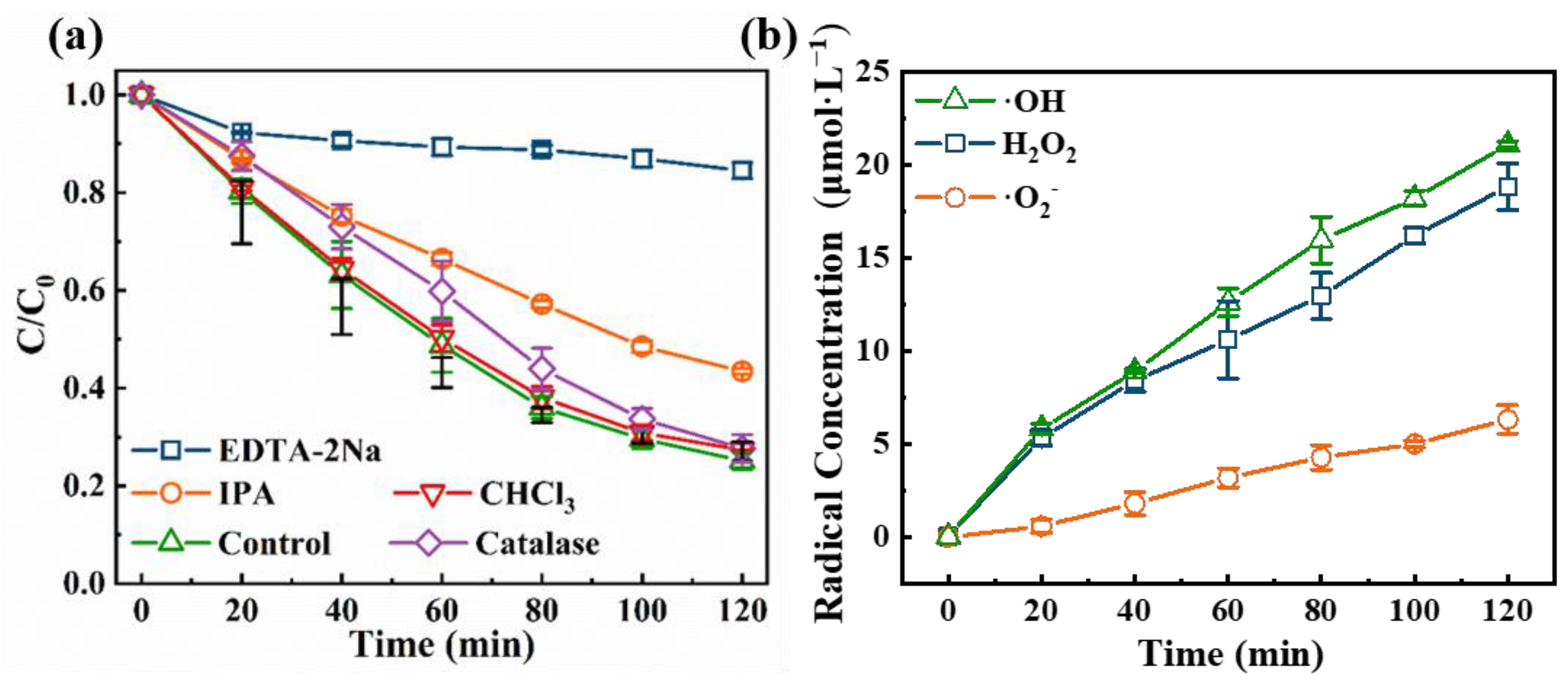 Coatings 15 01027 g006