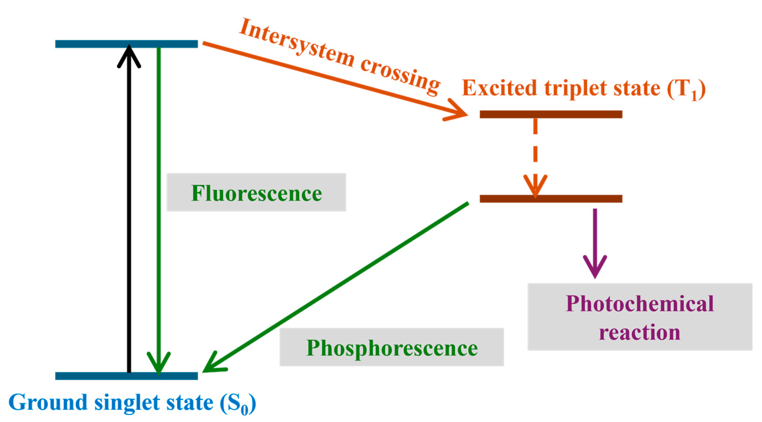 Coatings 15 01028 g004 Coatings 15 01028 g004