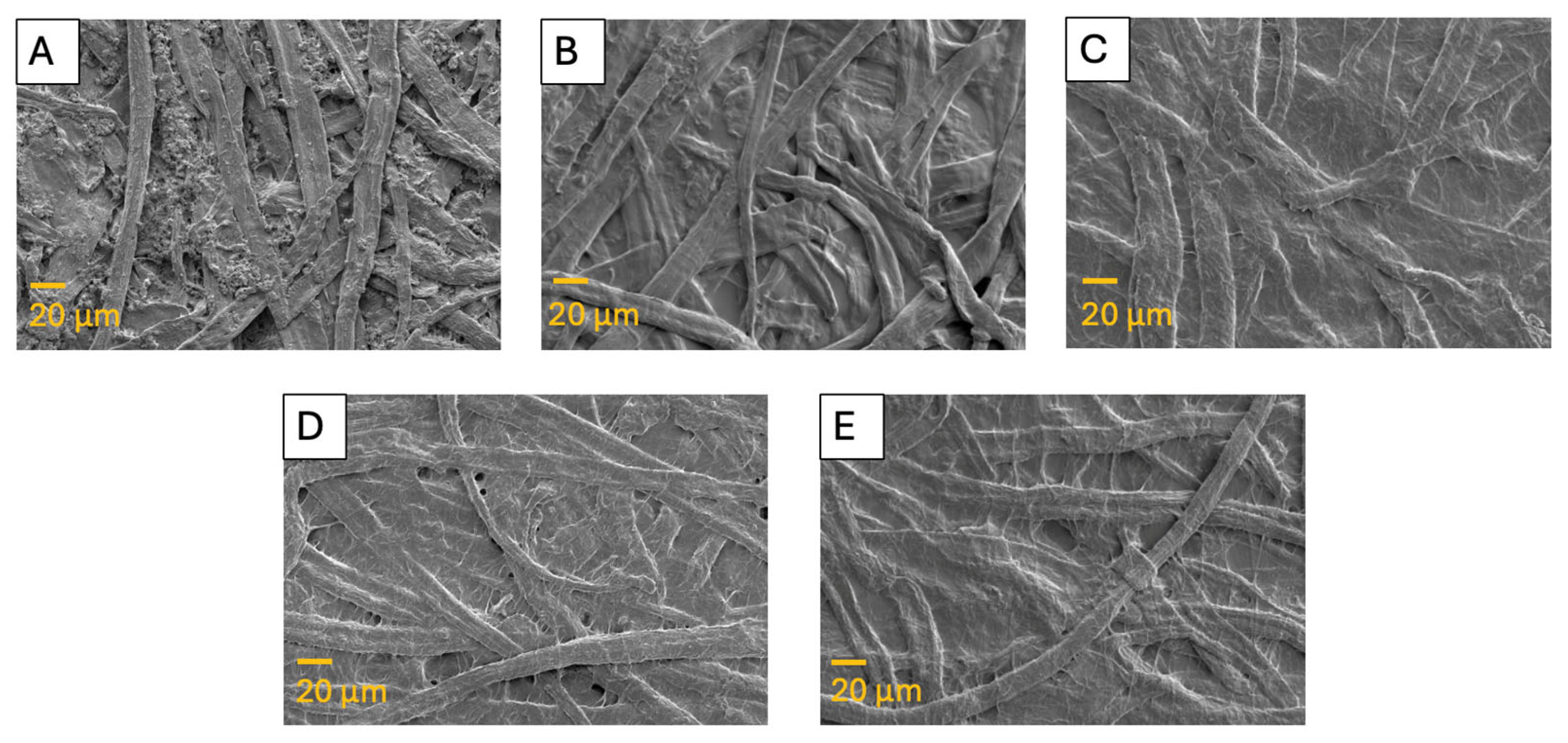 Coatings 15 01034 g004 Coatings 15 01034 g004