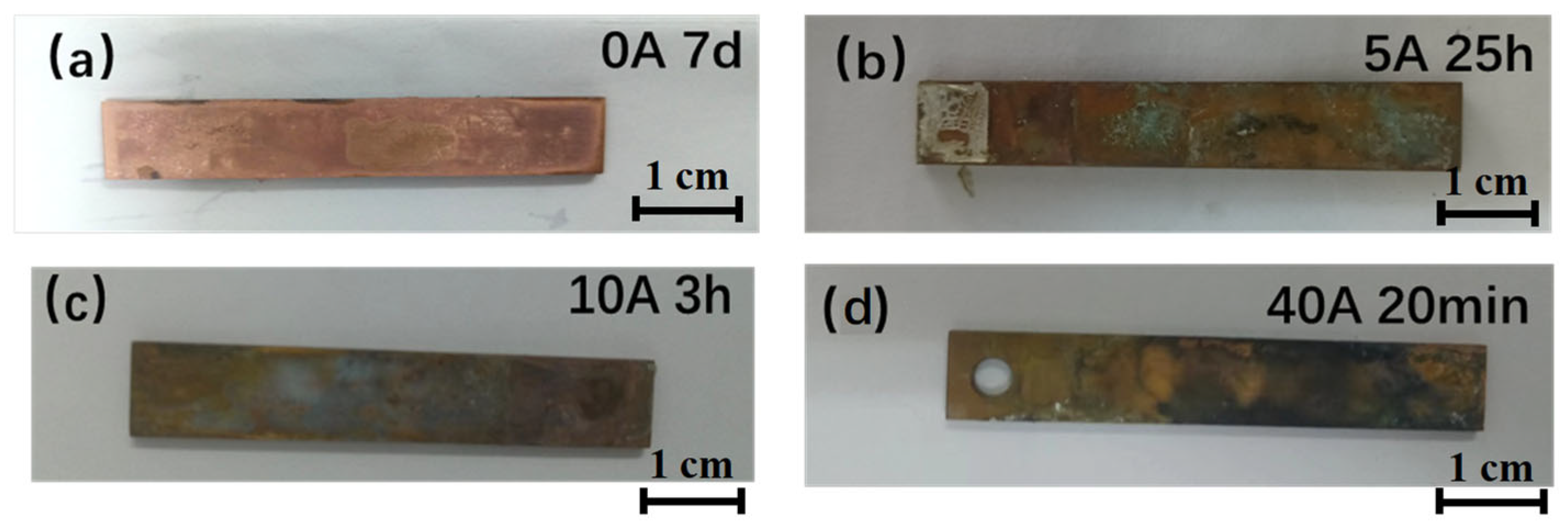 Coatings 15 01036 g001 Coatings 15 01036 g001
