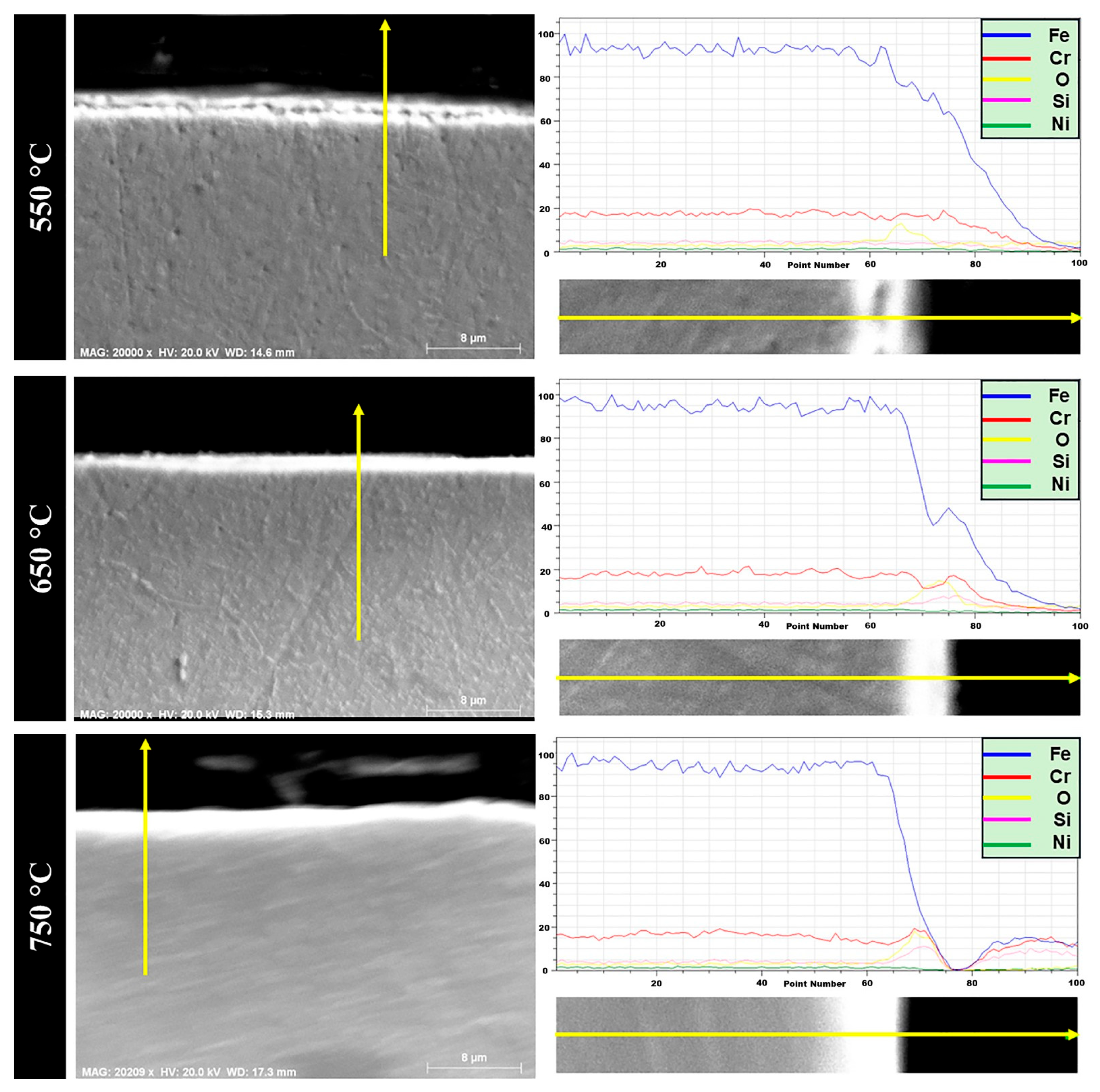 Coatings 15 01039 g007