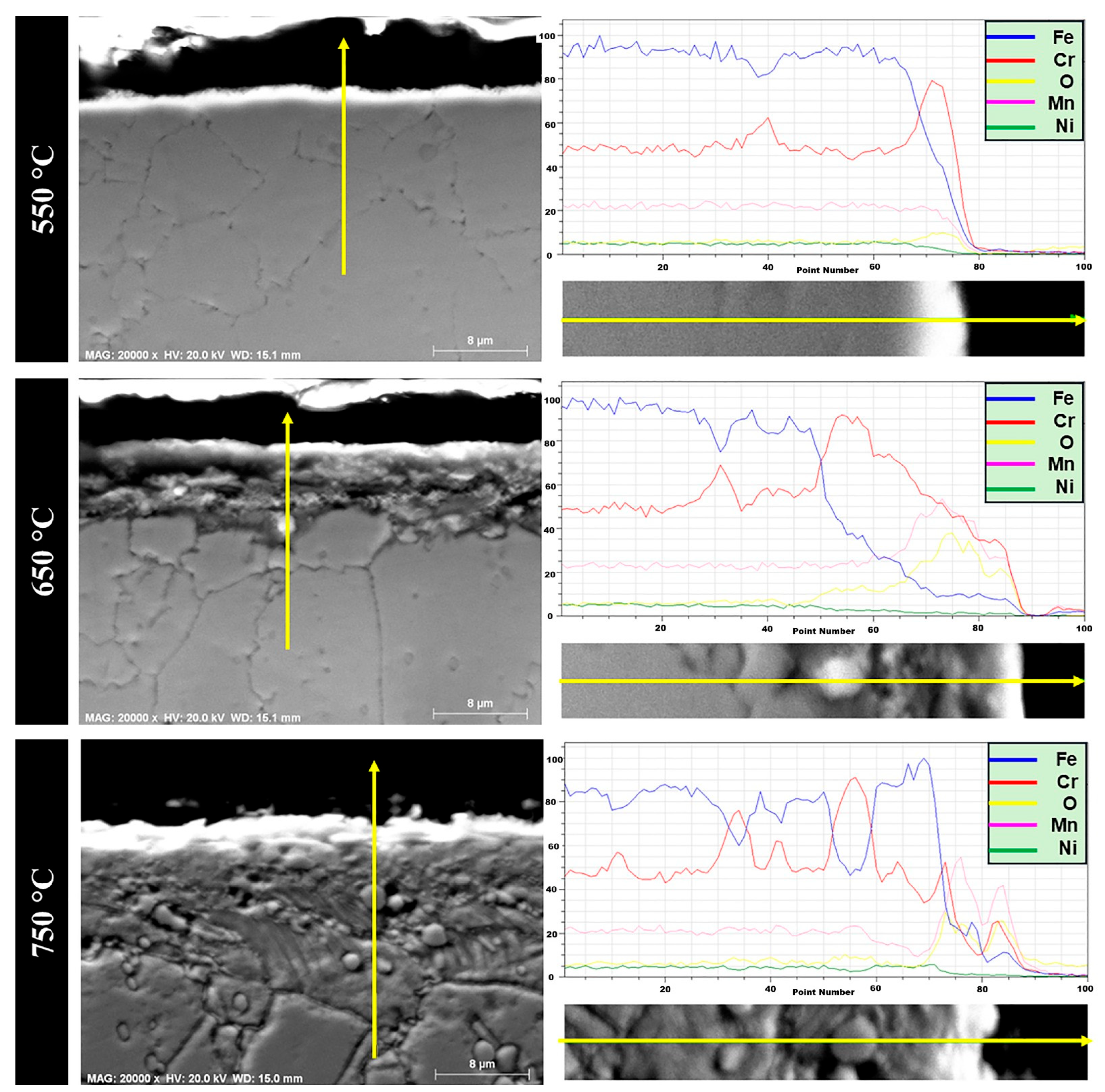 Coatings 15 01039 g009
