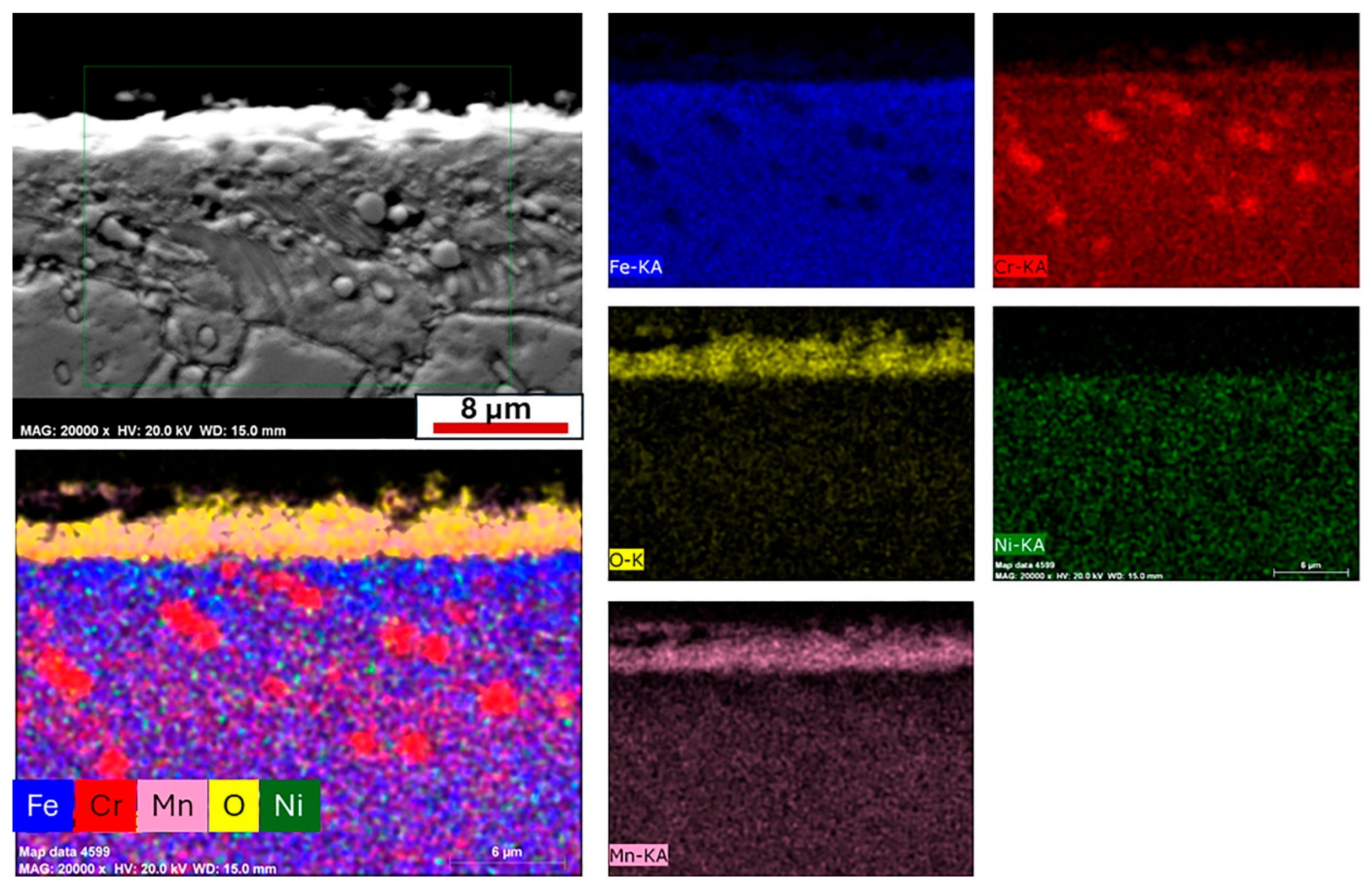 Coatings 15 01039 g010