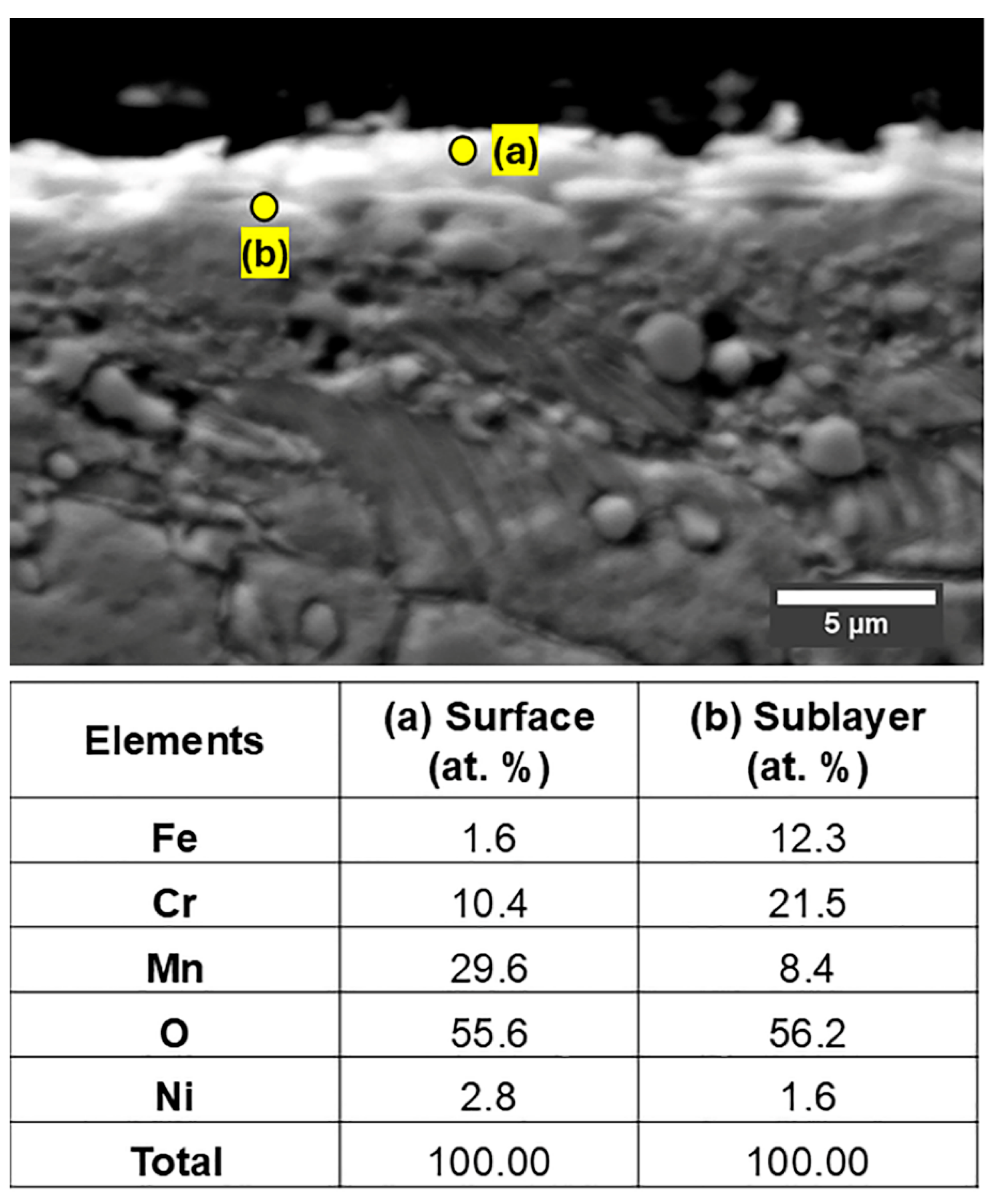 Coatings 15 01039 g011