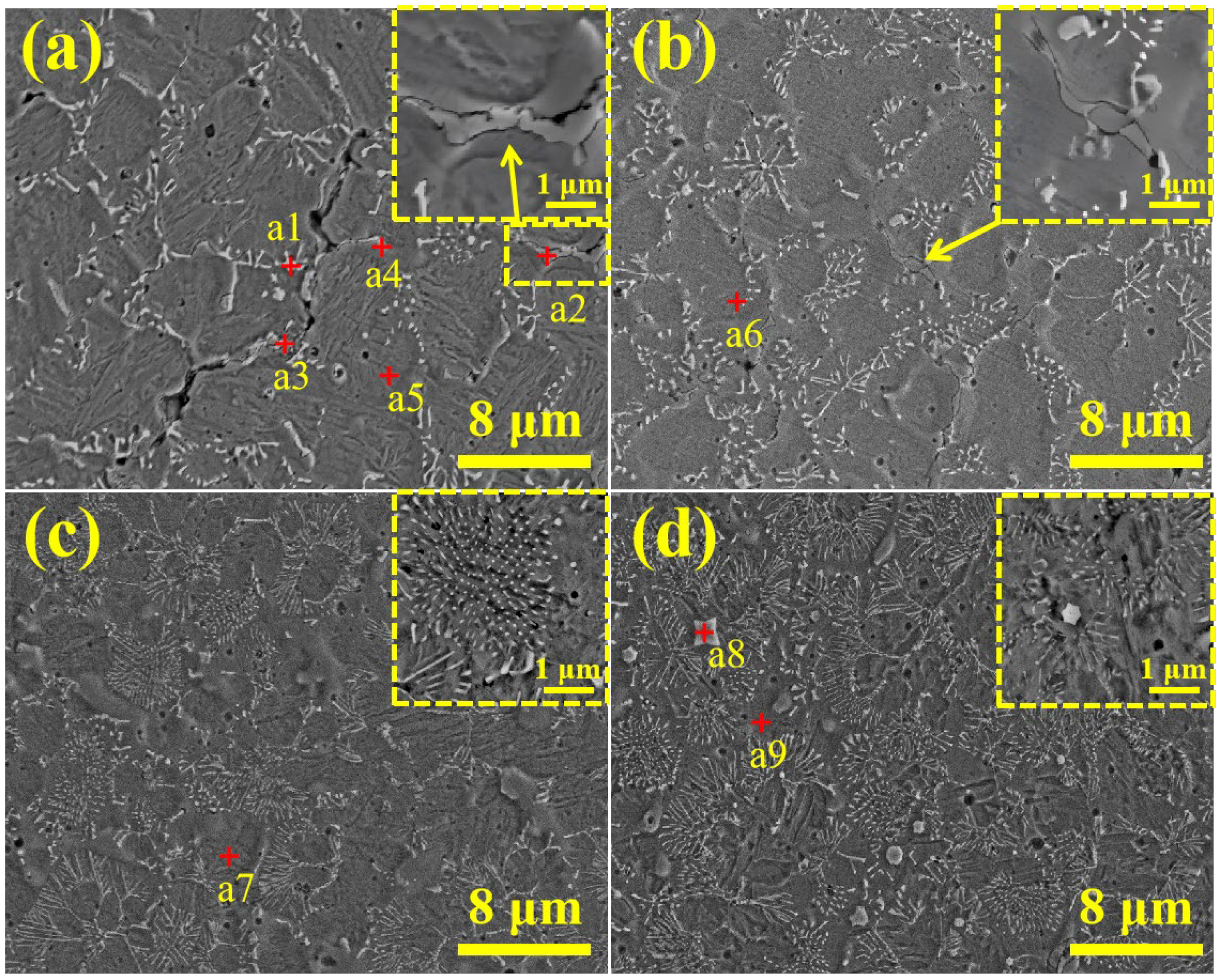 Coatings 15 01055 g005